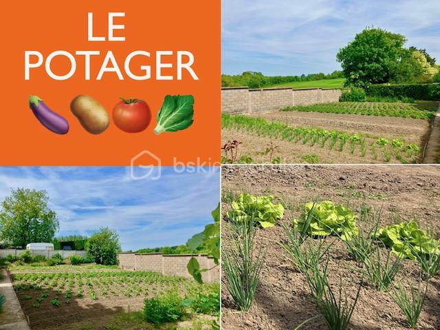 Fermette de 172 m² - noel_amalgame_potager.jpg