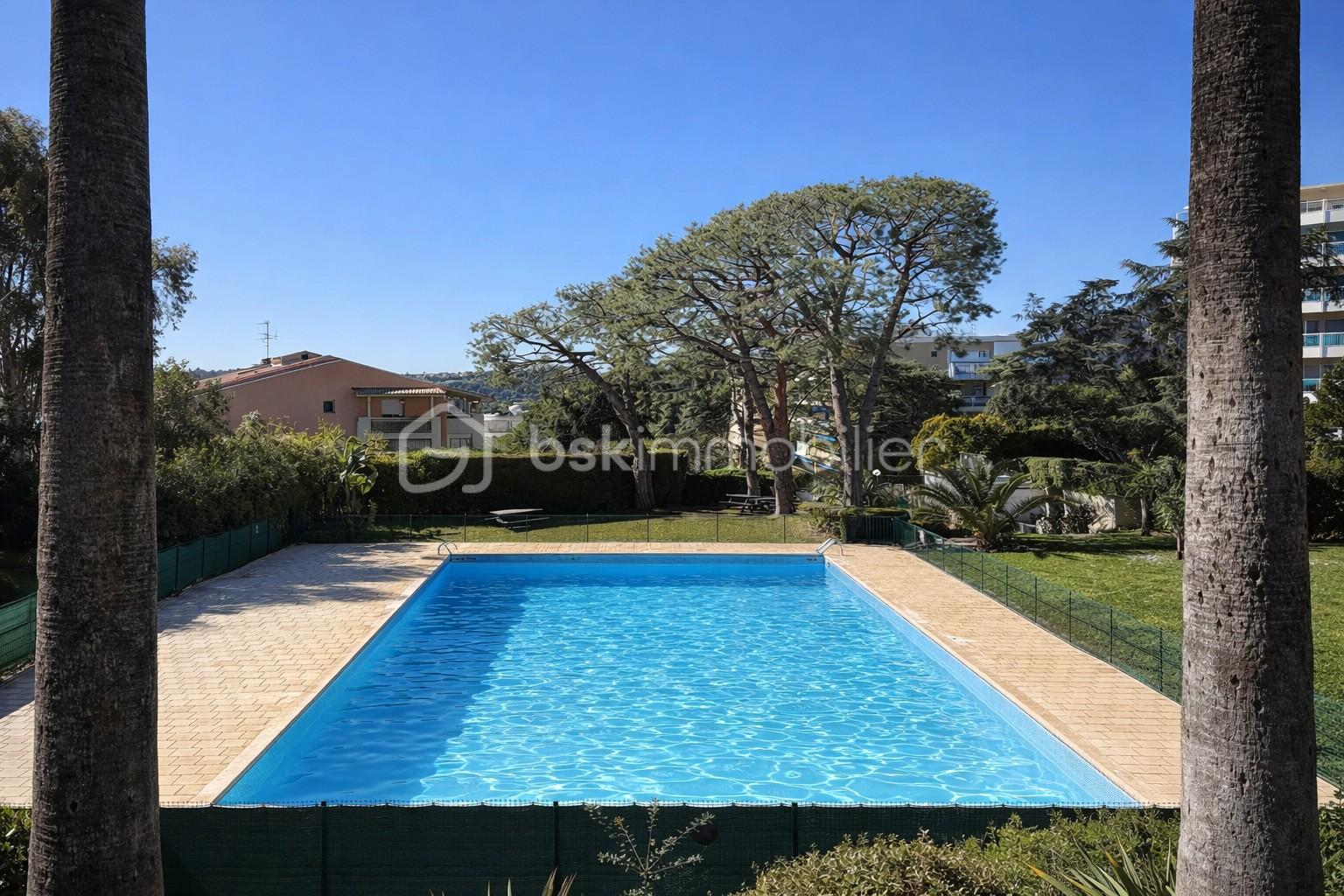 Piscine soleil.jpg