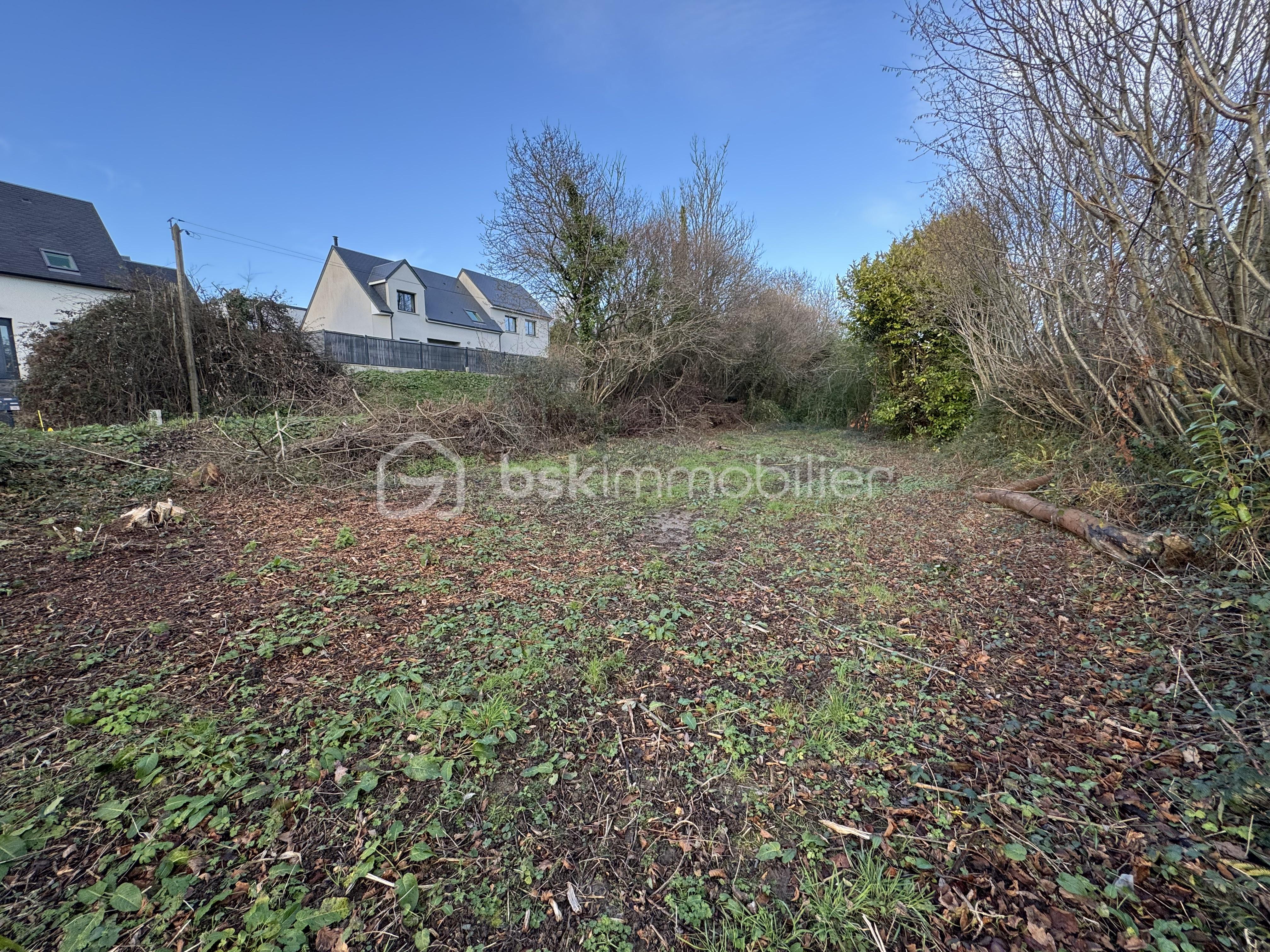 Terrain de 493 m² - IMG_4917.jpeg