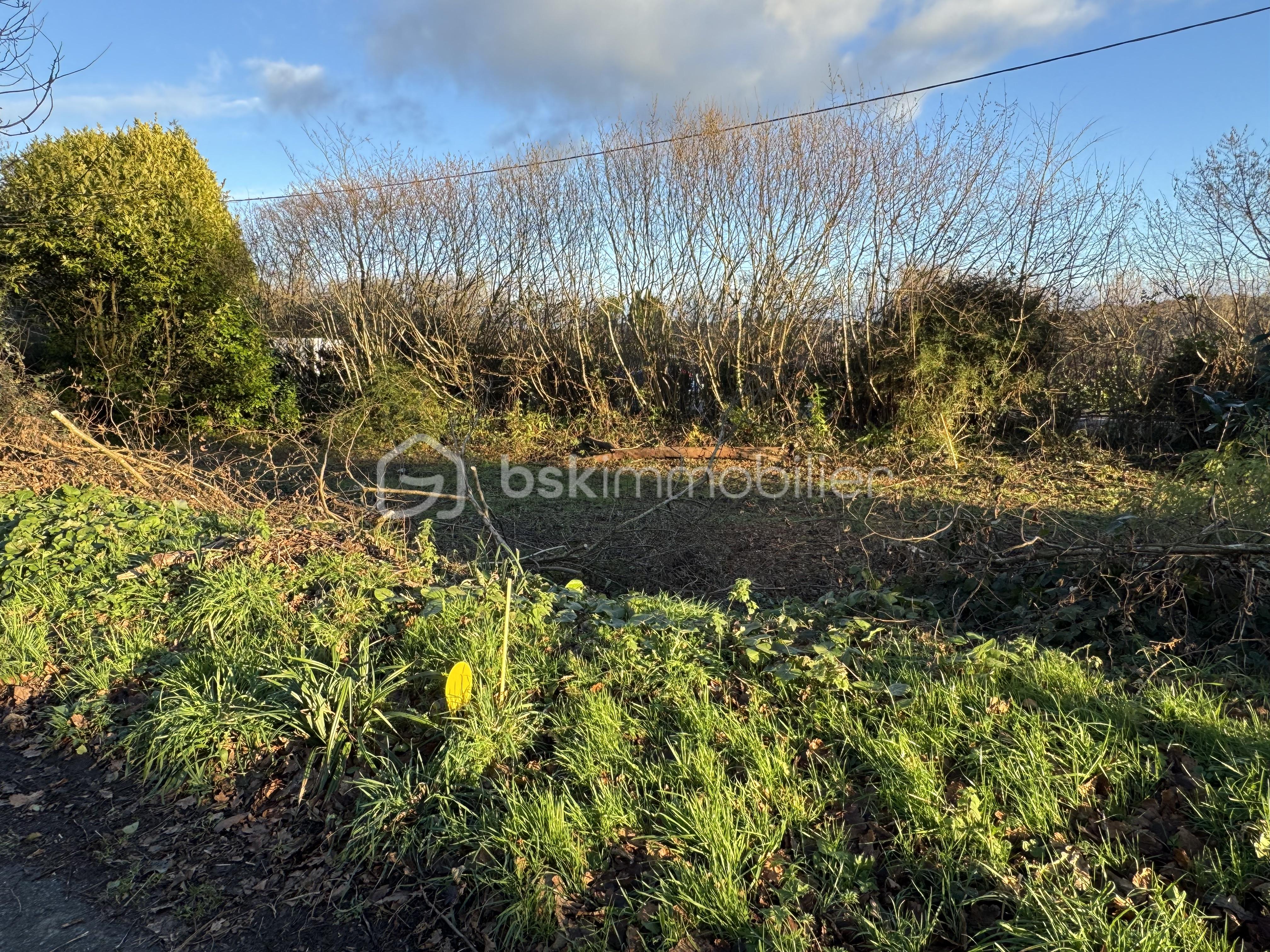 Terrain de 493 m² - IMG_4931.jpeg