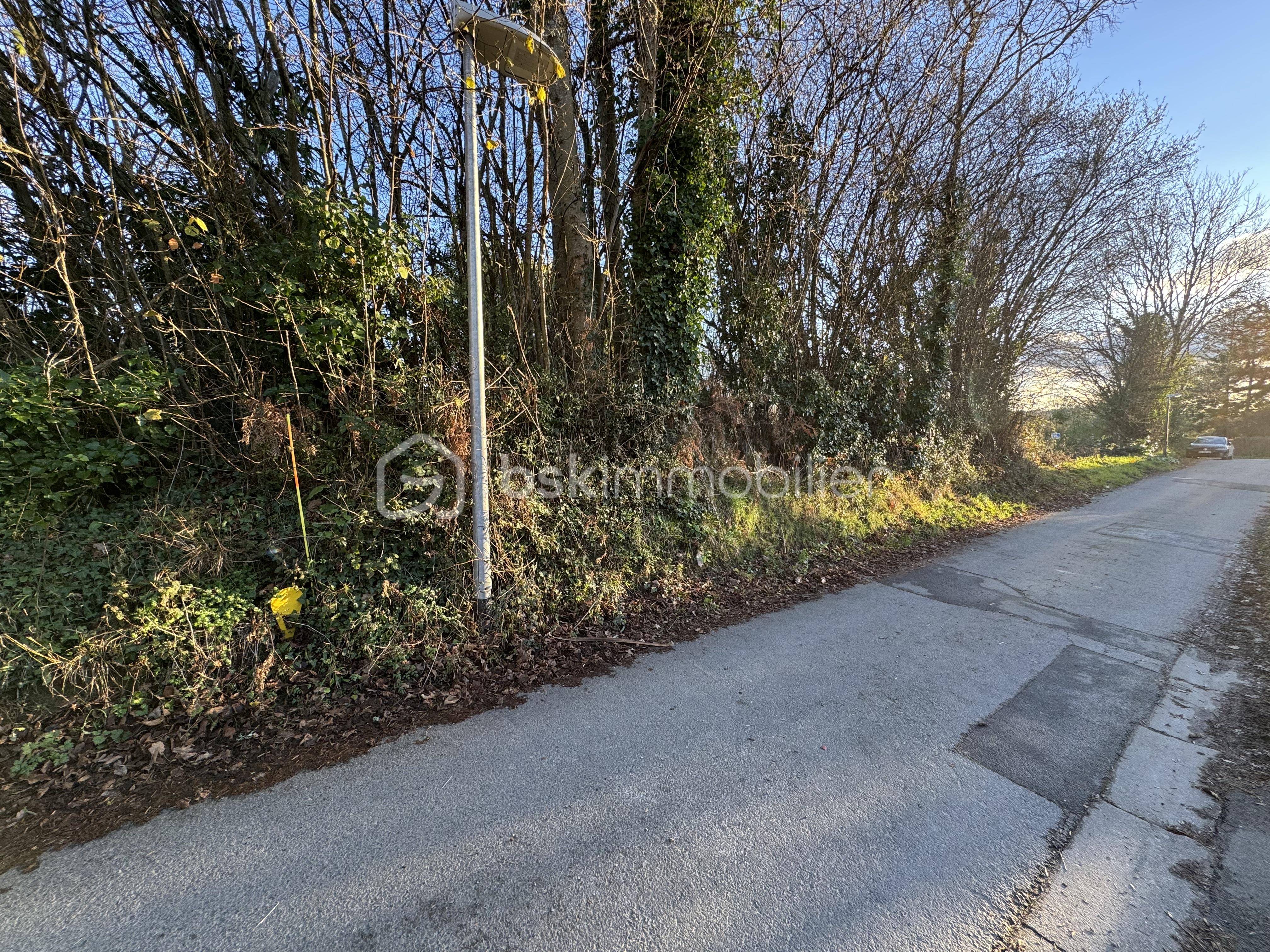 Terrain de 493 m² - IMG_4933.jpeg