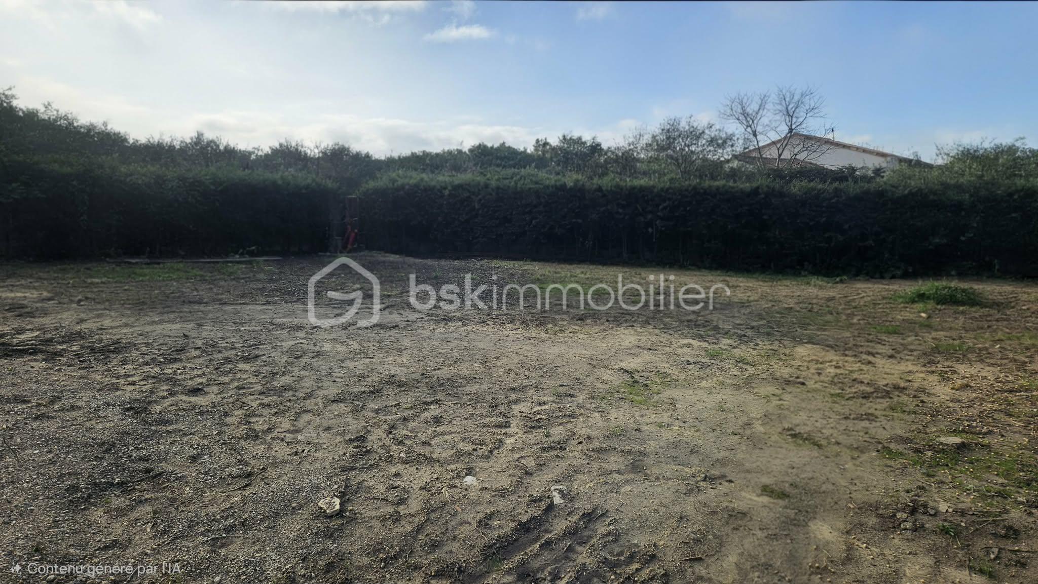 8e1c52e4-6527-49e0-b15d-7c857d80de3c.jfif