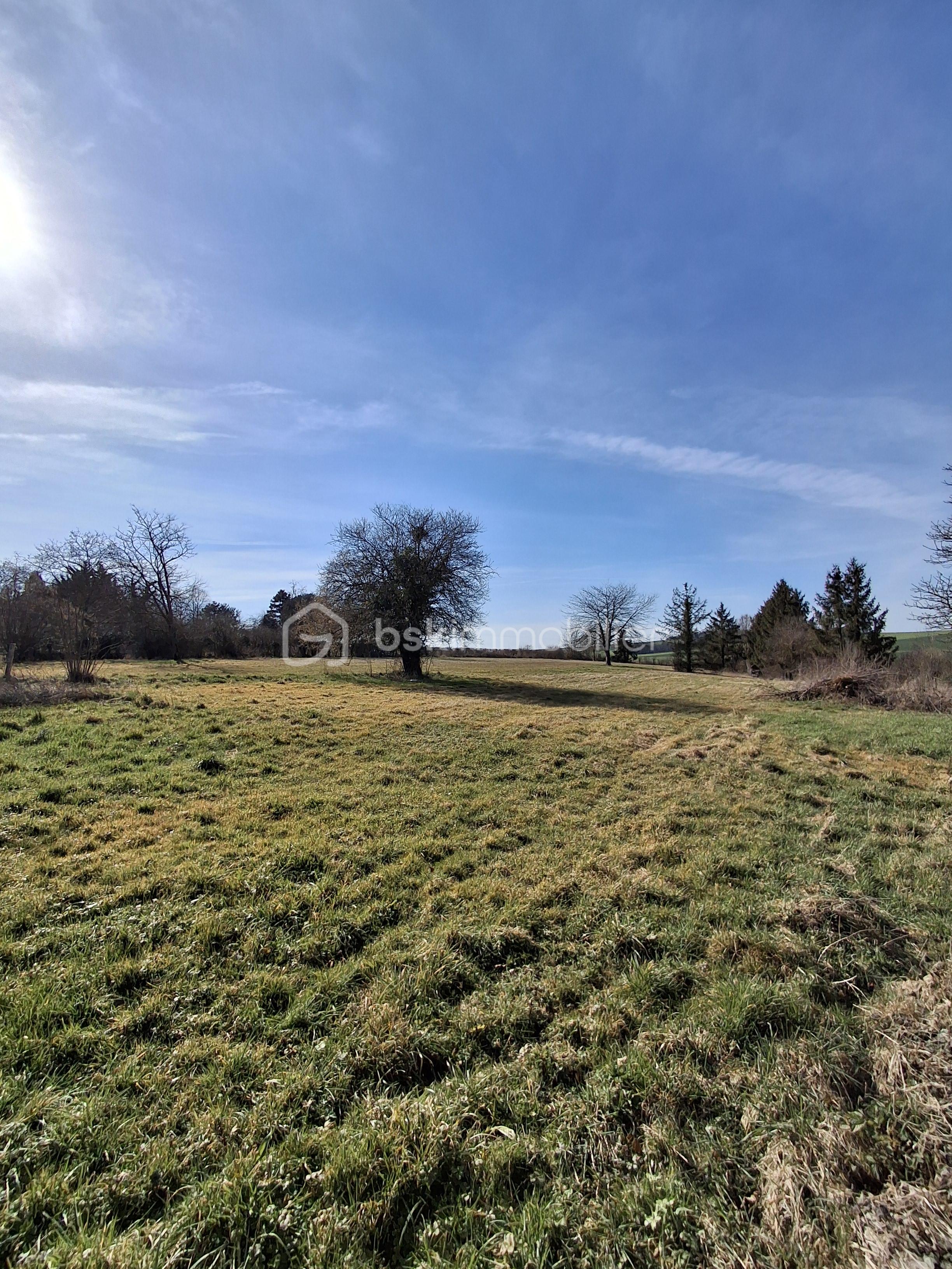 Maison longere de 99 m² - 20250308_144209.jpg