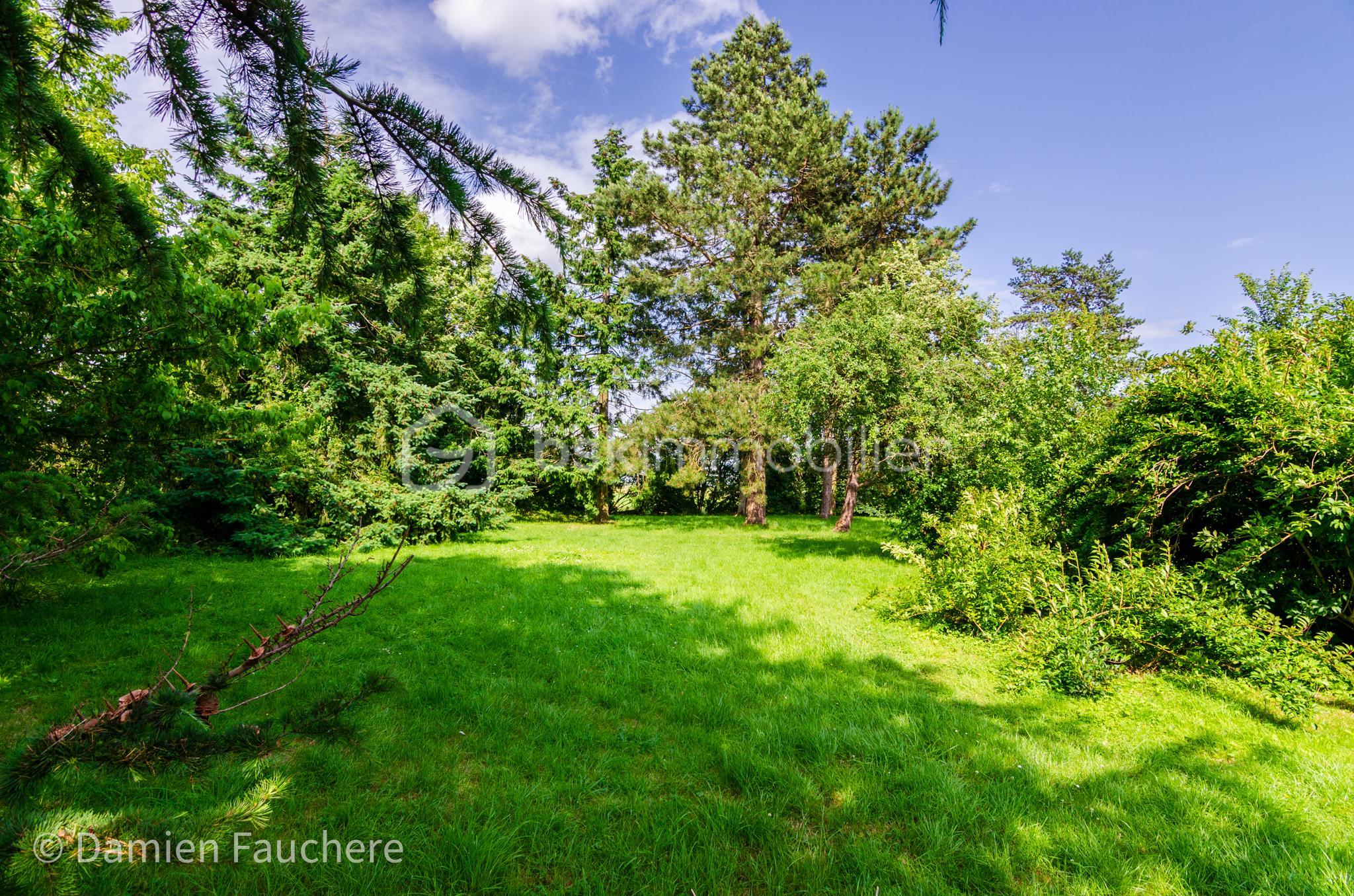 Terrain de 1 712 m² - COMBO Terrain.jpg