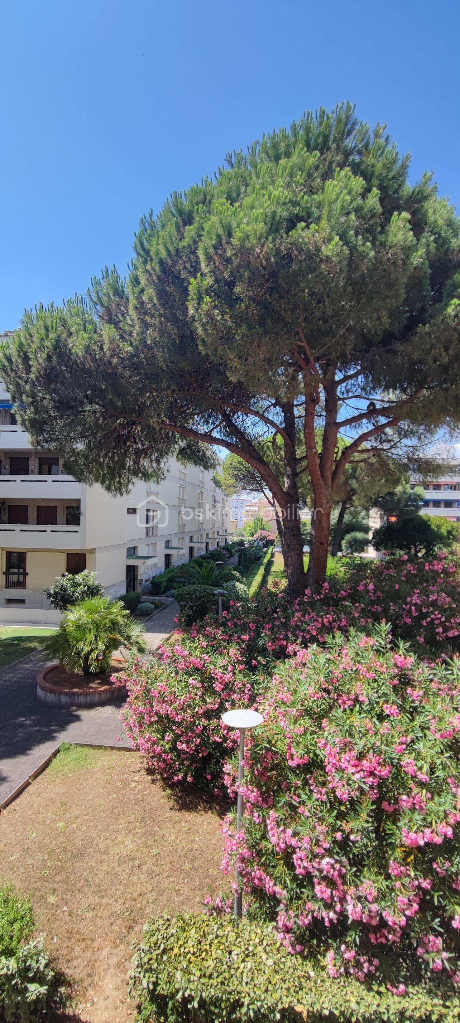 baudry vue jardin 3.jpg