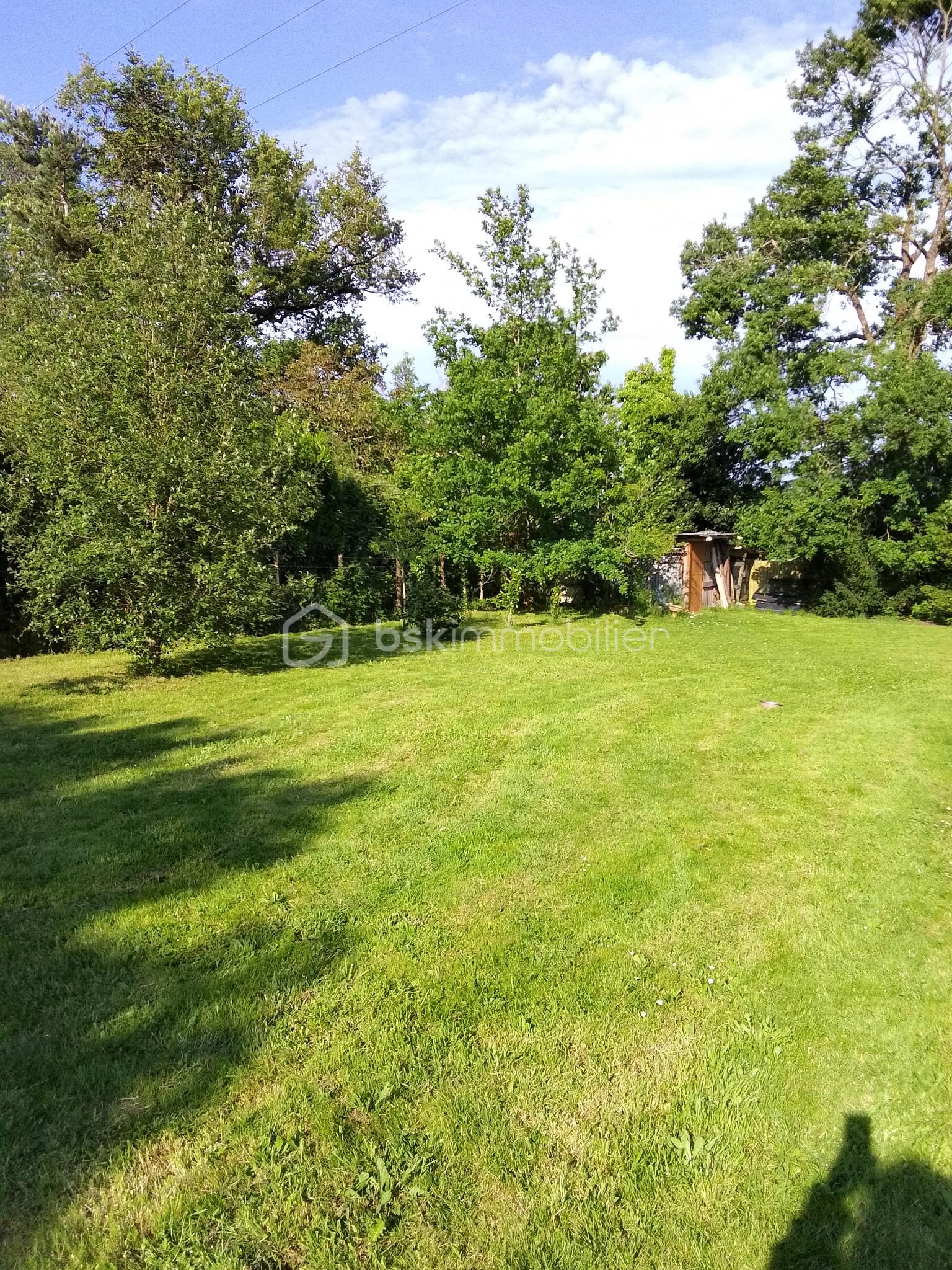 photo avessa 9.jpg