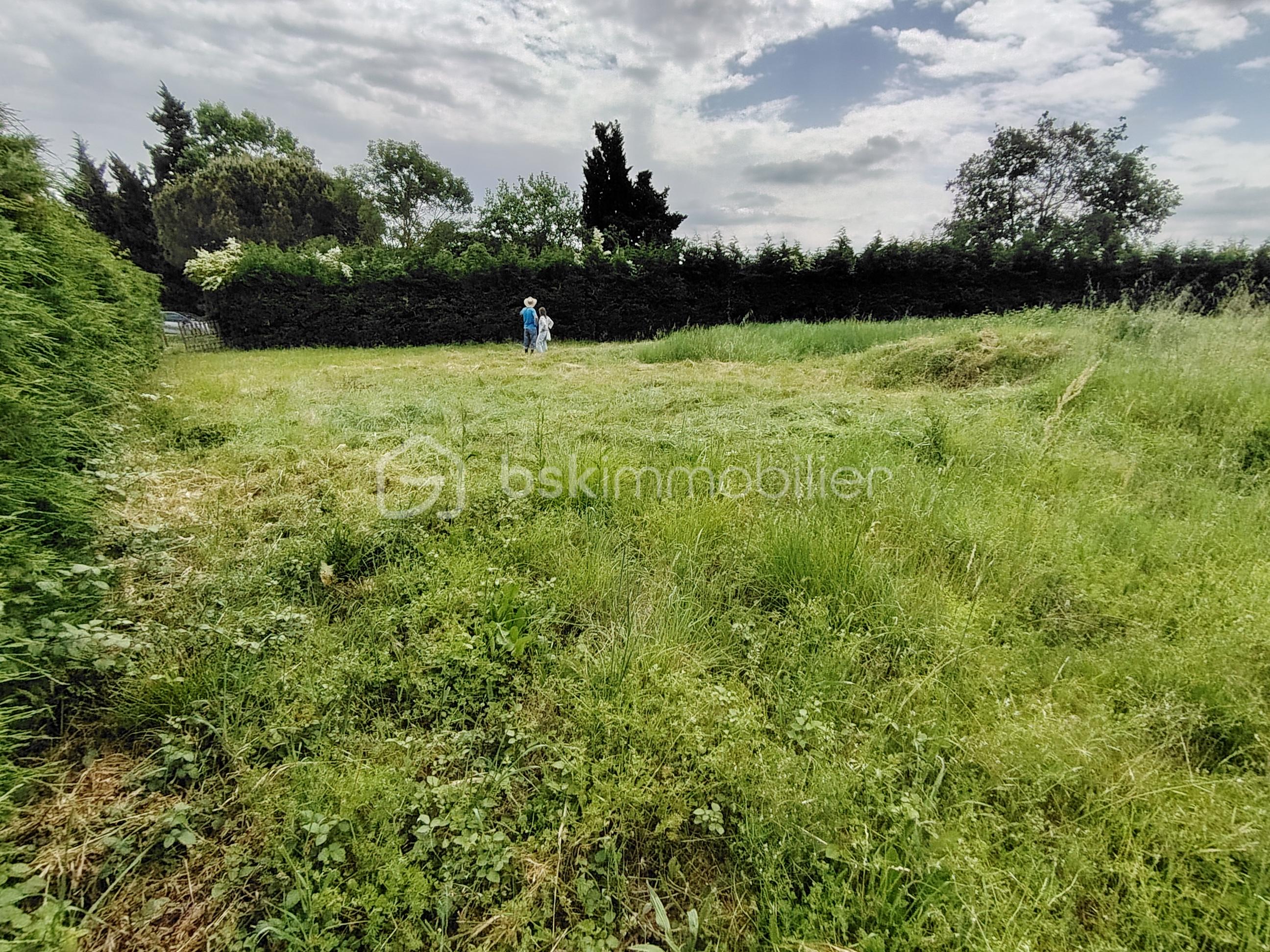 Terrain 3.jpg