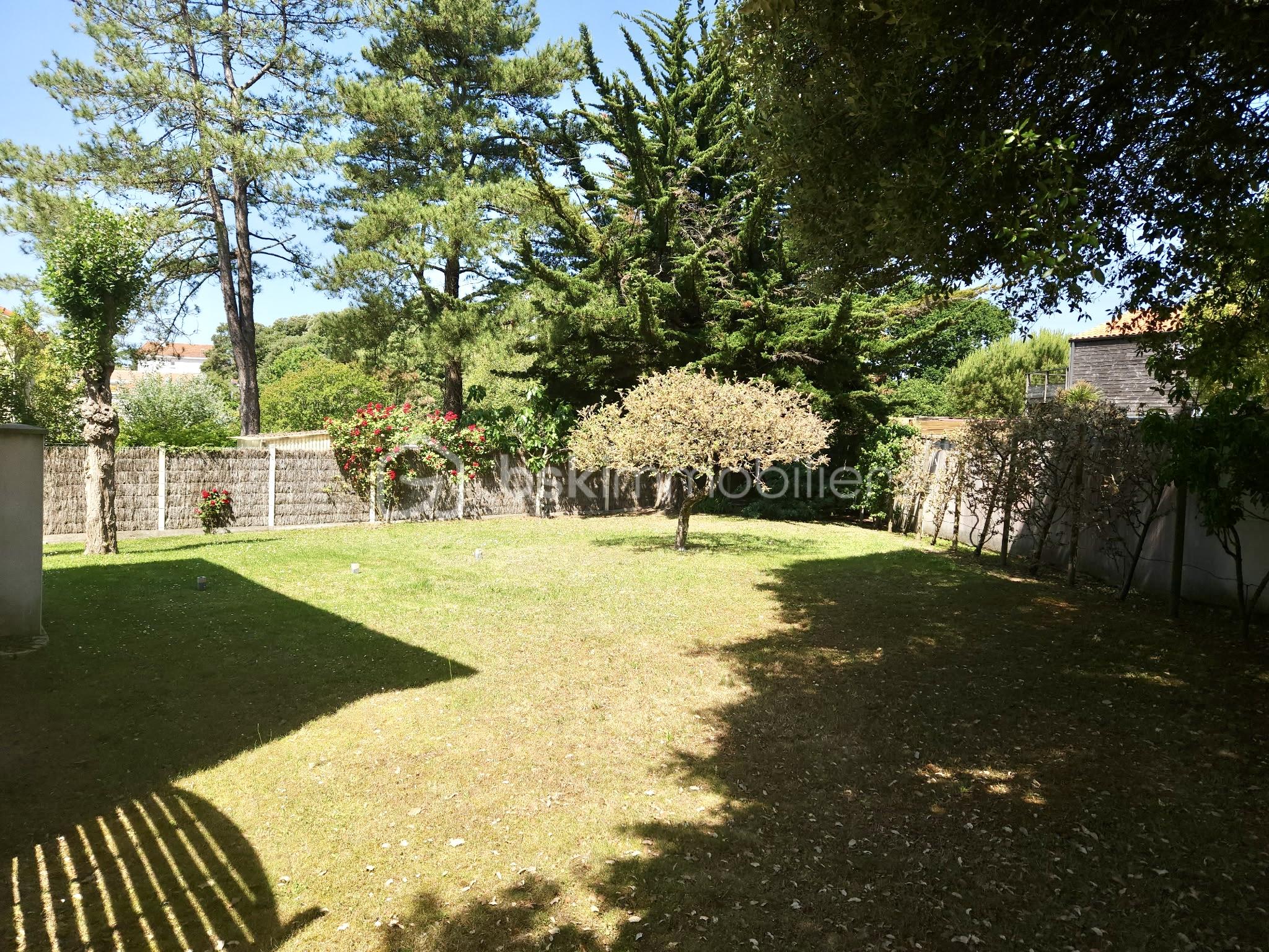 Terrain 1.jpg