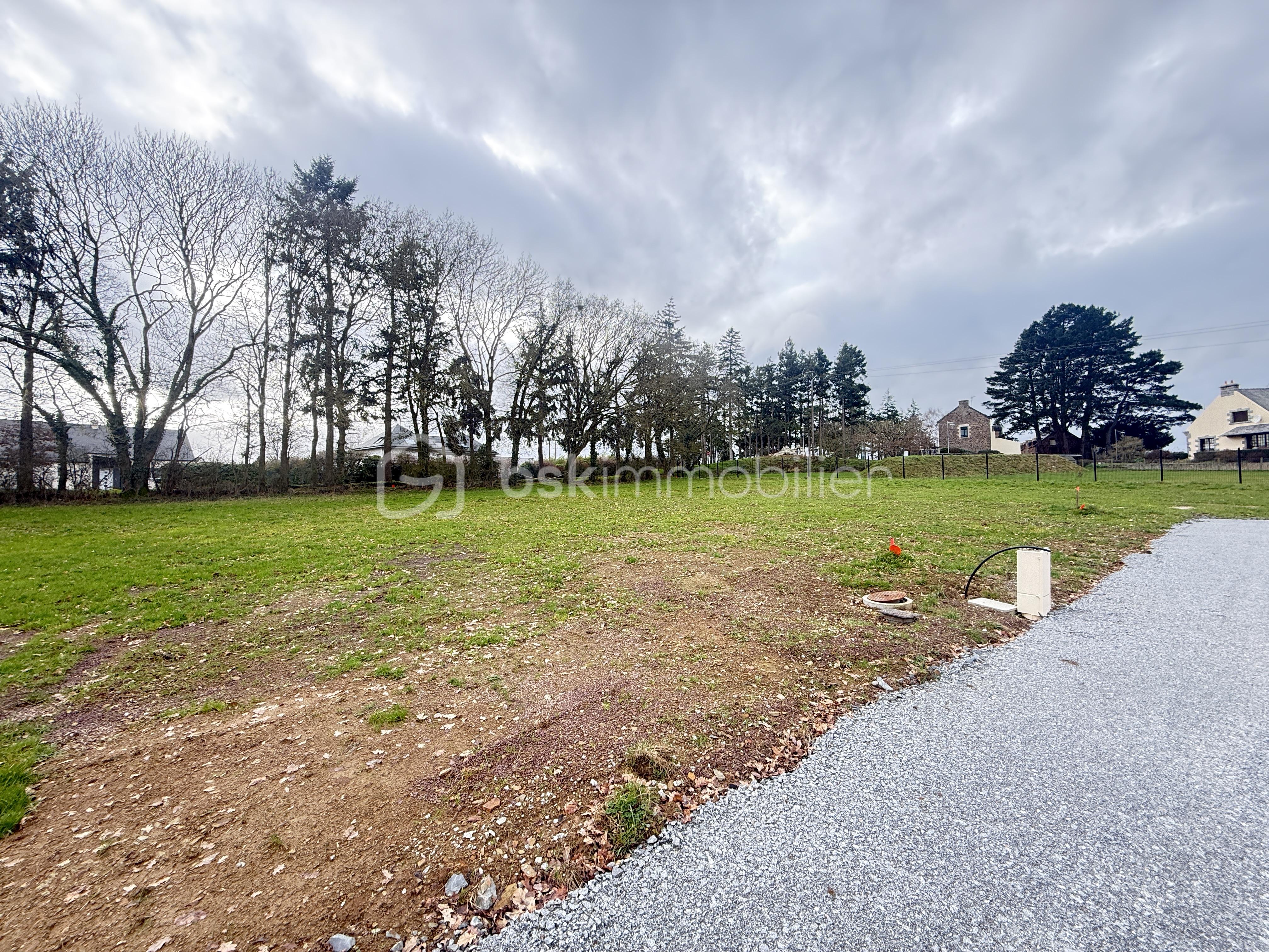 Terrain de 1 055 m² - IMG_8984.JPG