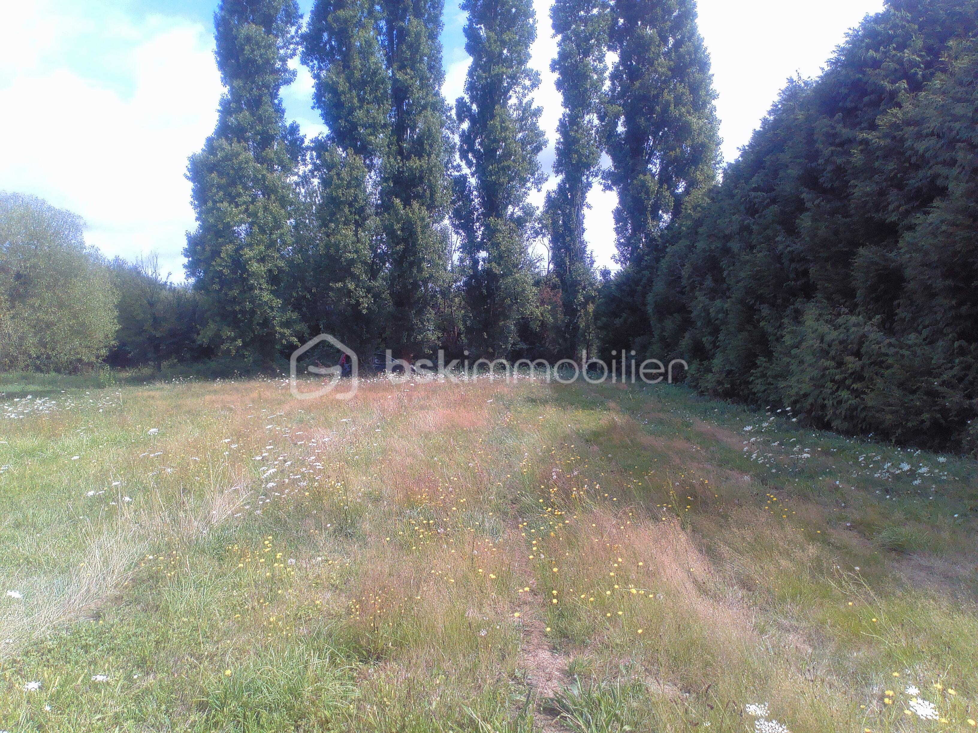 Maison de 106 m² - 2025-07-26-11-39-28.jpg