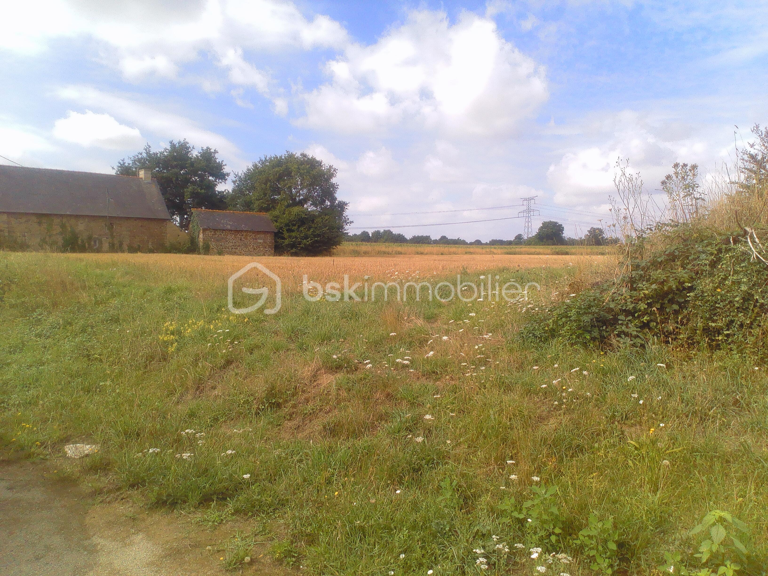 Maison de 106 m² - 2025-07-26-11-37-14.jpg