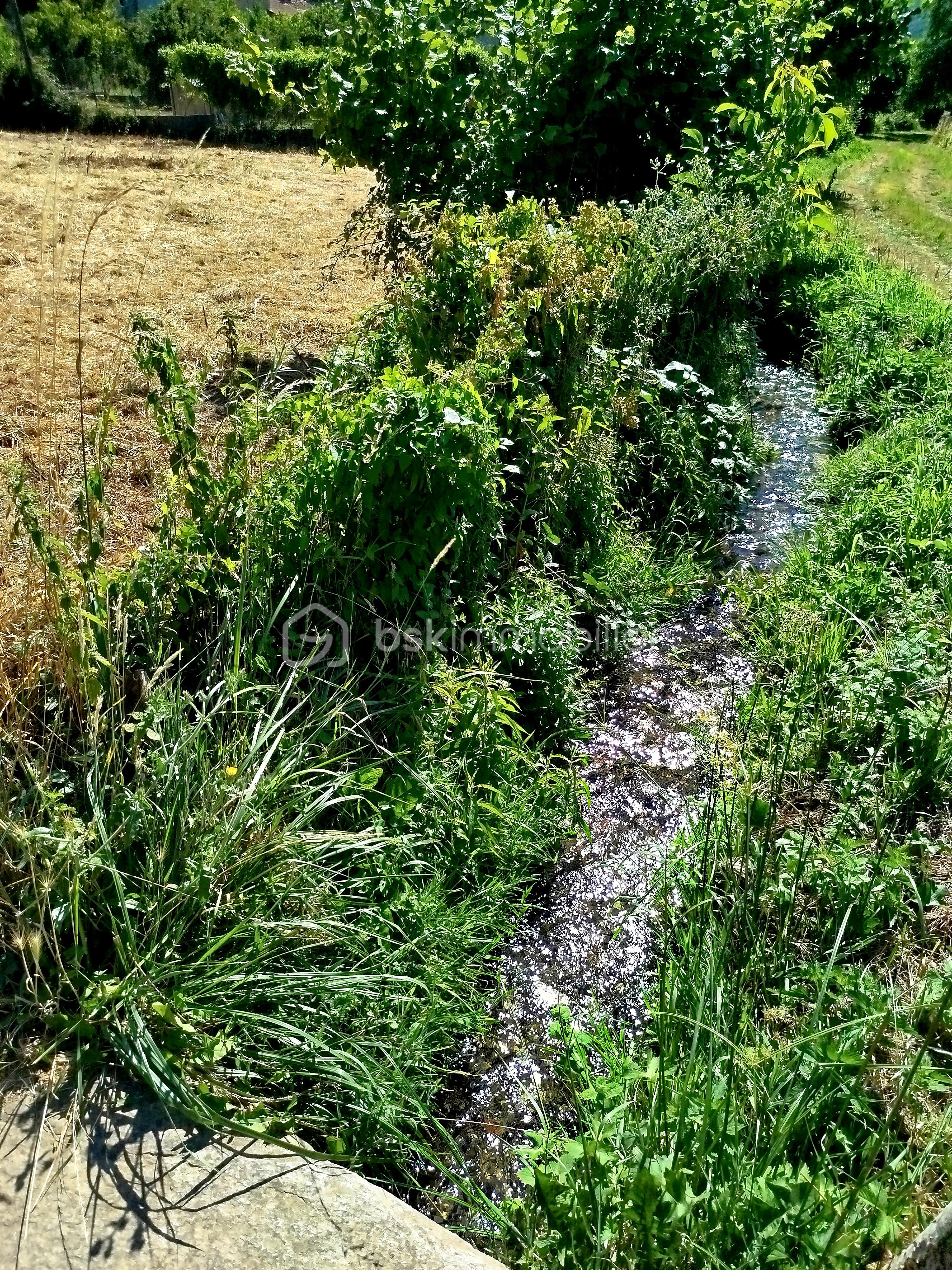 Terrain de 935 m² - IMG_20250710_104553.jpg