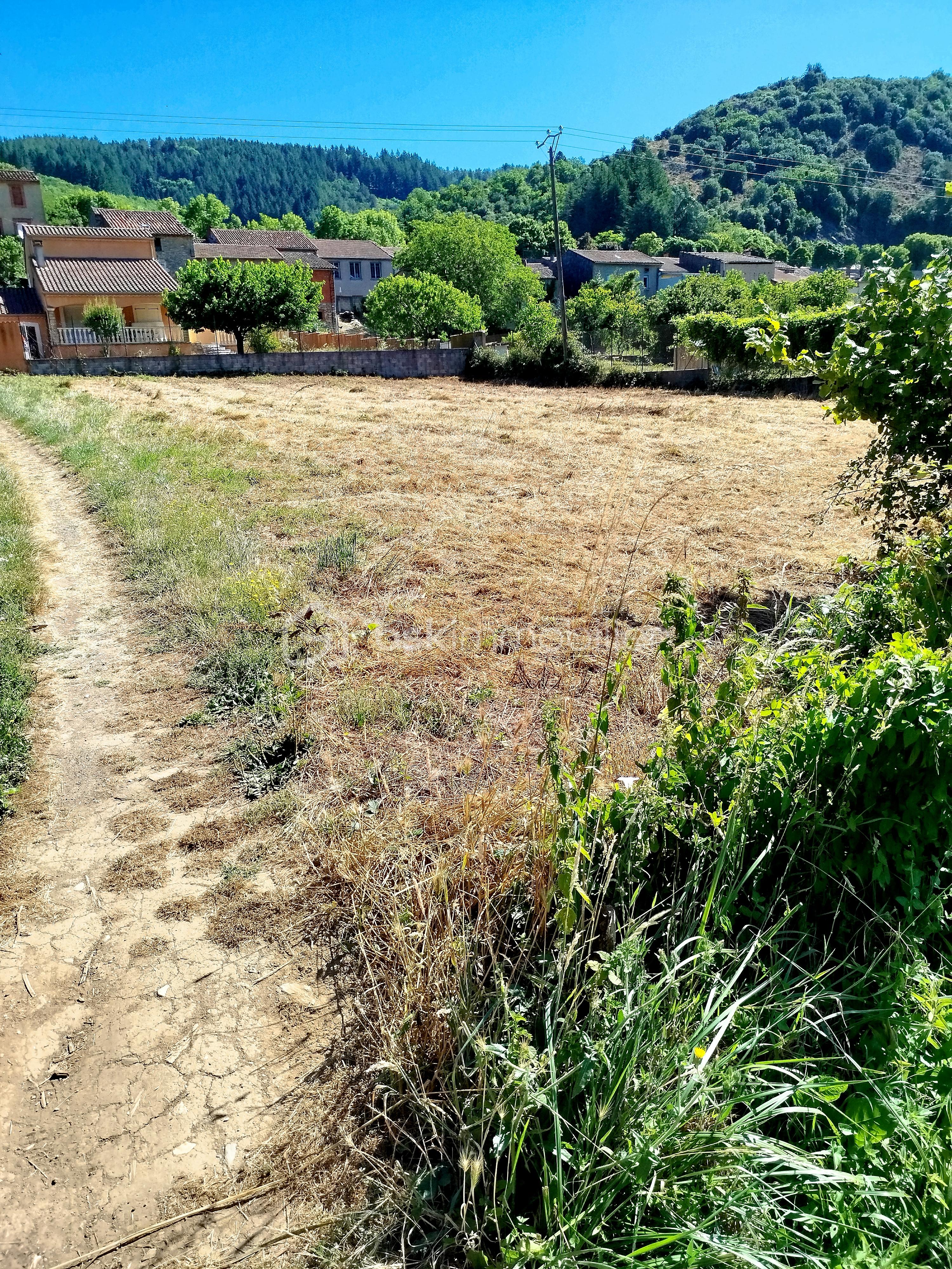 Terrain de 935 m² - IMG_20250710_104558.jpg