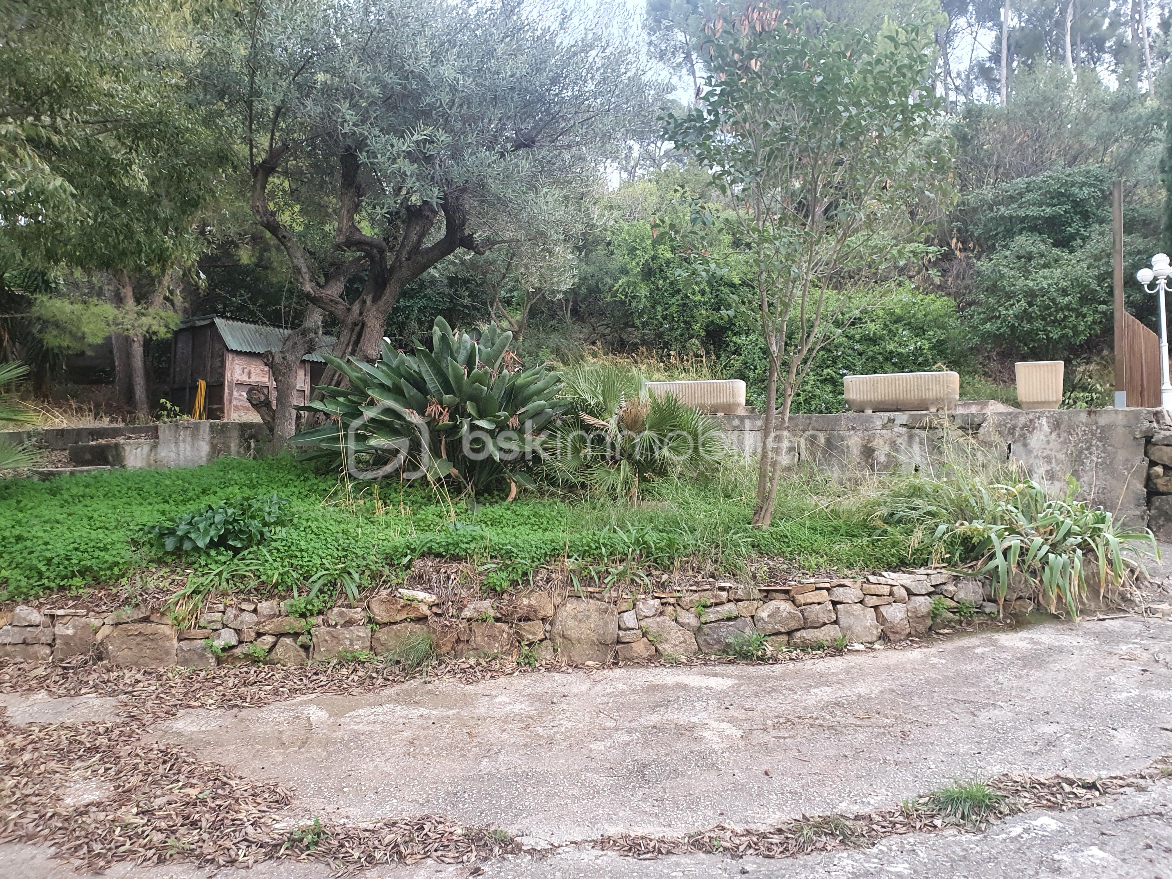 Terrain de 415 m² - 20211102_164944.jpg