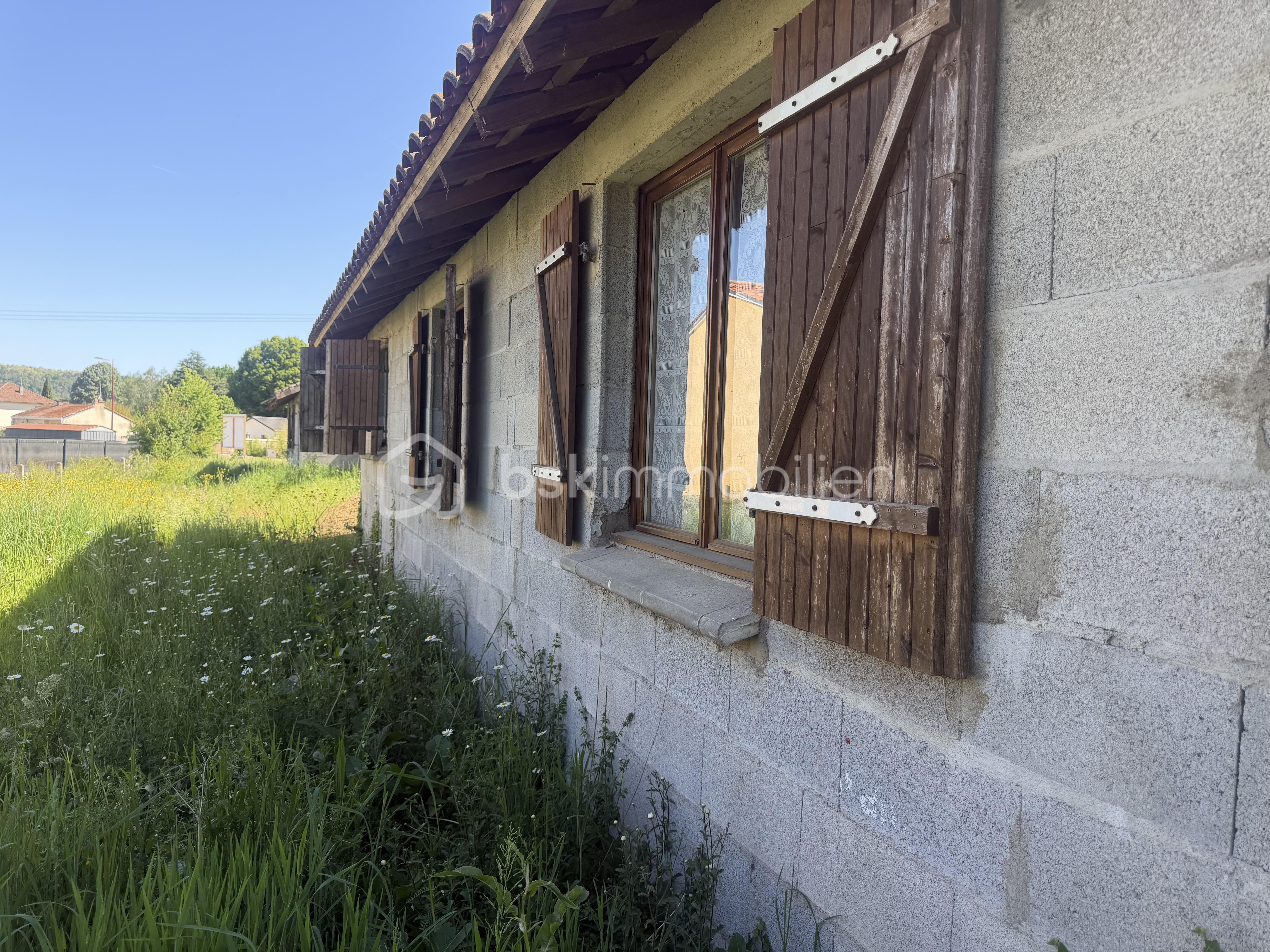 IMG_1955.jpeg