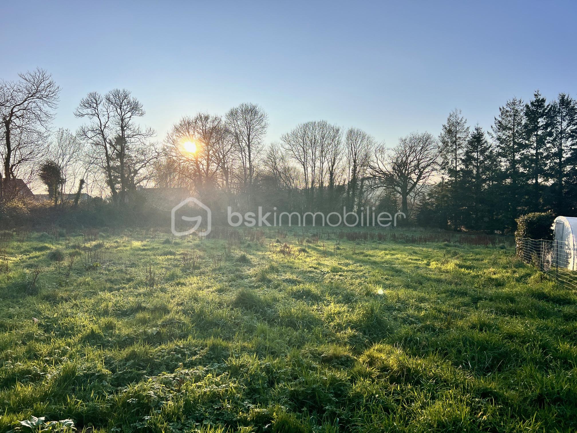 Terrain de 5 119 m² - IMG_1805.JPG