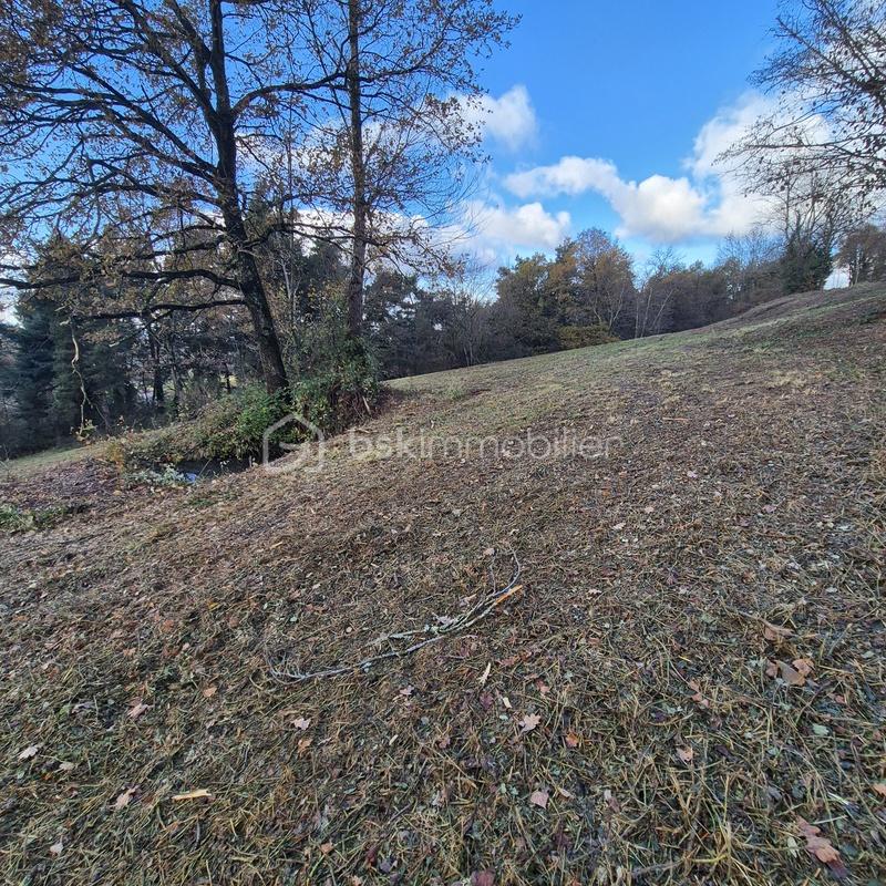 Terrain de 2 910 m² - 20251127_140016.jpg