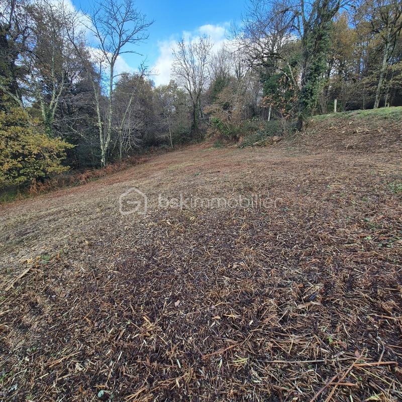 Terrain de 2 910 m² - 20251127_135821.jpg