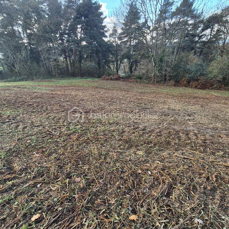 Terrain de 2 910 m² - 20251127_135815.jpg