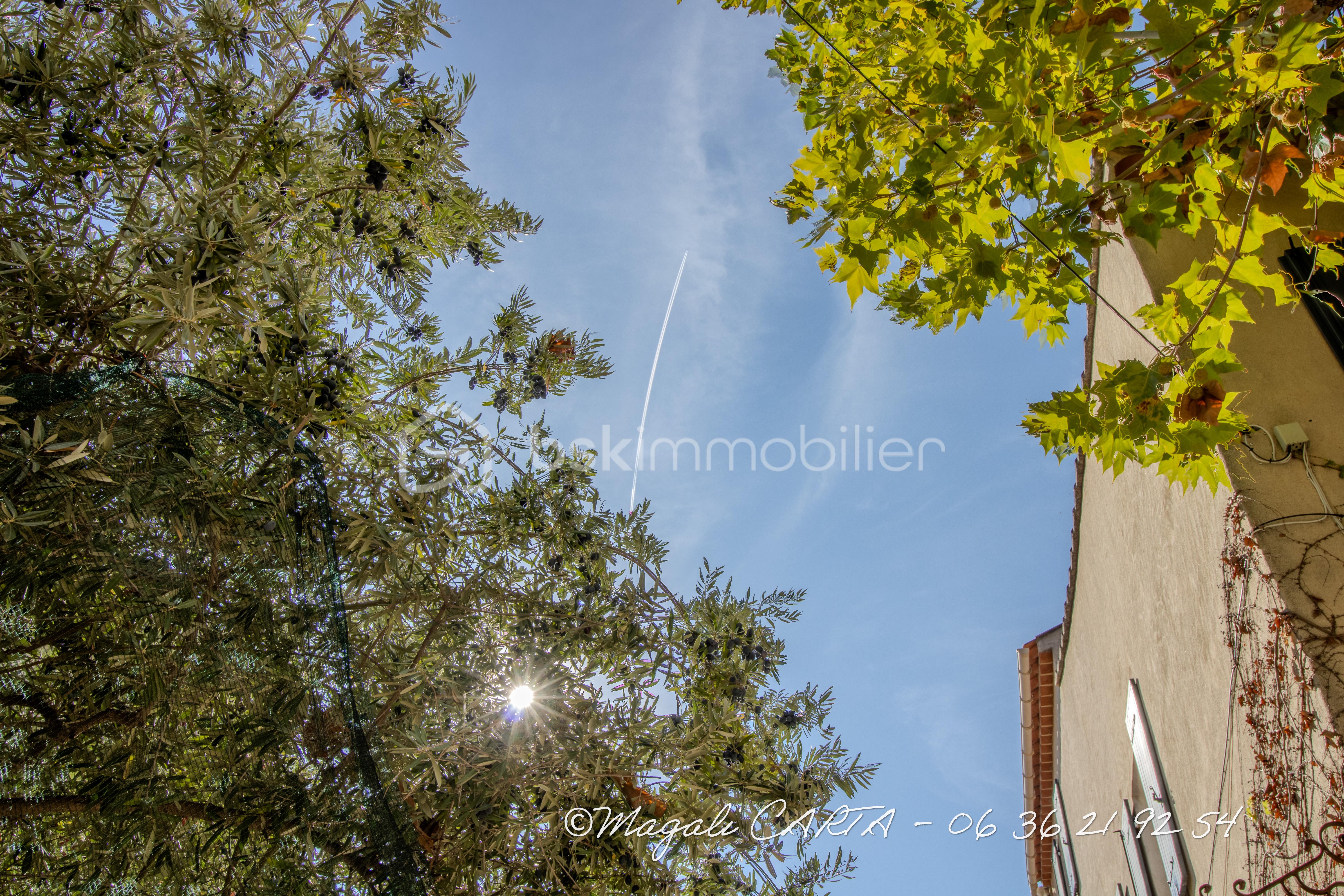 IMG_6303-HDR.jpg