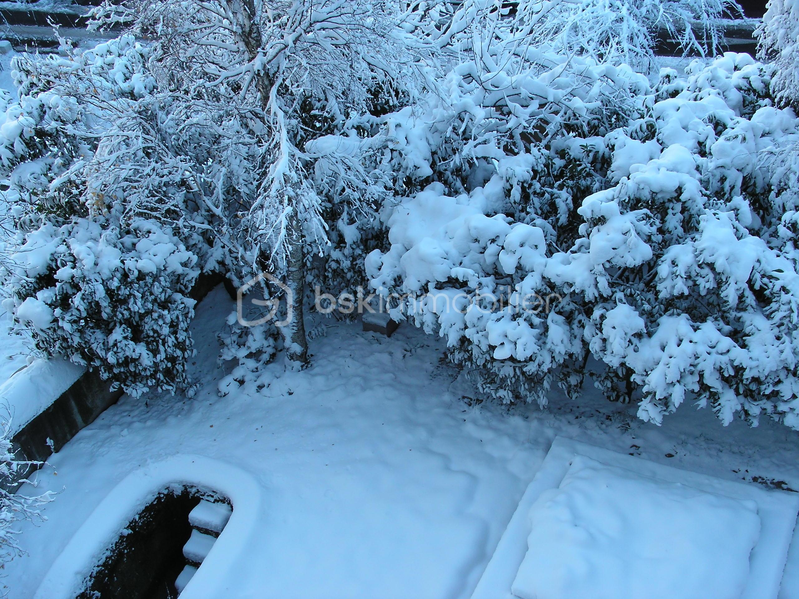 15 jardin_neige1.JPG