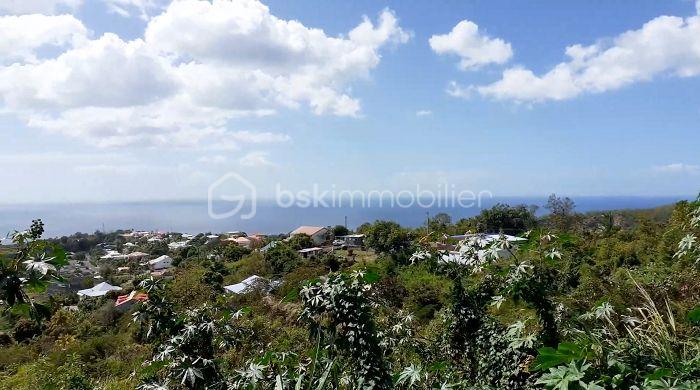 Terrain de 2 700 m² - Vue depuis terrain - droite.jpg
