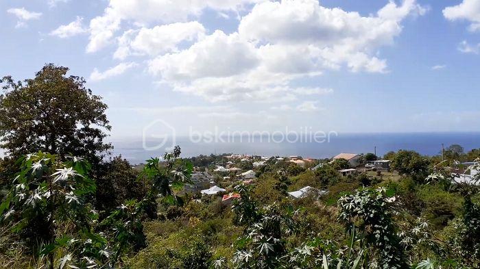 Terrain de 2 700 m² - Vue depuis terrain - gauche.jpg