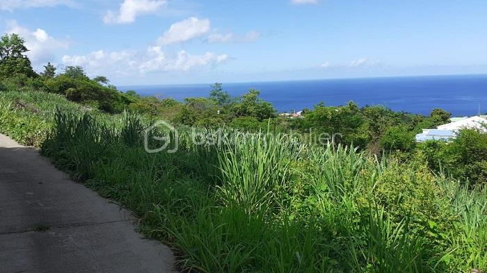 Terrain de 2 700 m² - Arrivée vue mer.jpg