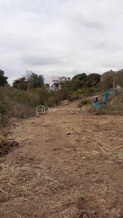 Terrain de 2 700 m² - Premier plateau dégagé vue de profil.jpg