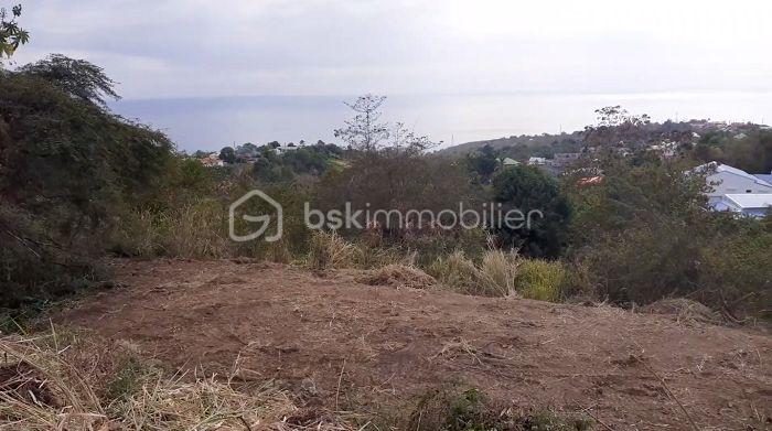 Terrain de 2 700 m² - Terrain nettoyé vue depuis la gauche.jpg