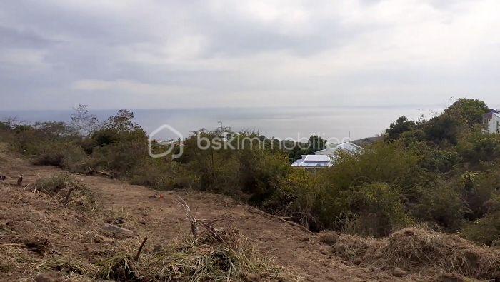 Terrain de 2 700 m² - Terrain nettoyé vue depuis la droite.jpg