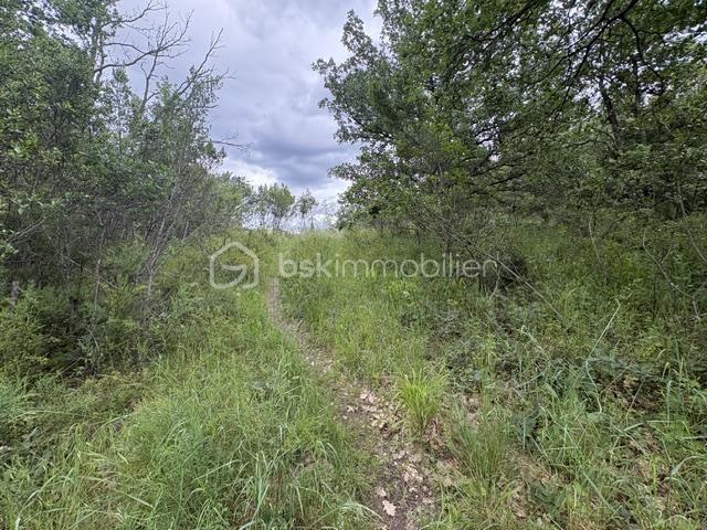 Terrain marquixanes 8.jpeg