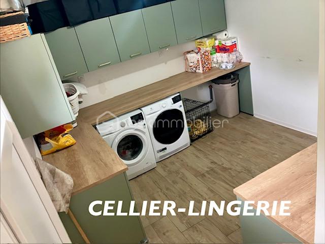 PETA CELLIER.jpeg
