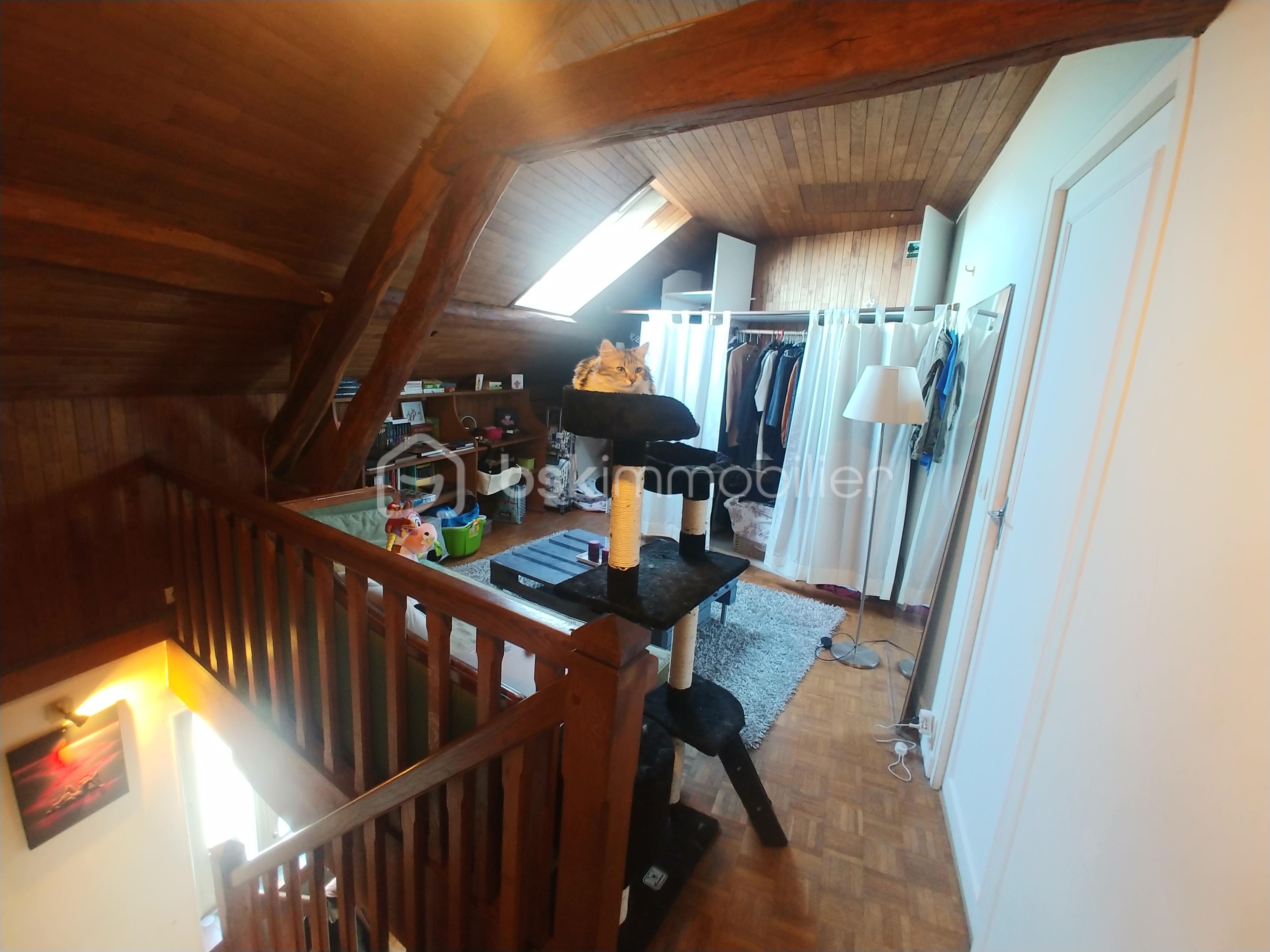 Immeuble mixte de 335,79 m² - 20190213_144051.jpg