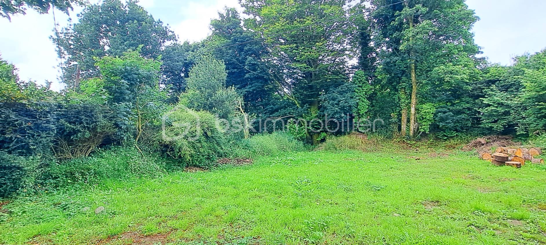 Maison en pierre de 135 m² - terrain 2.jpg