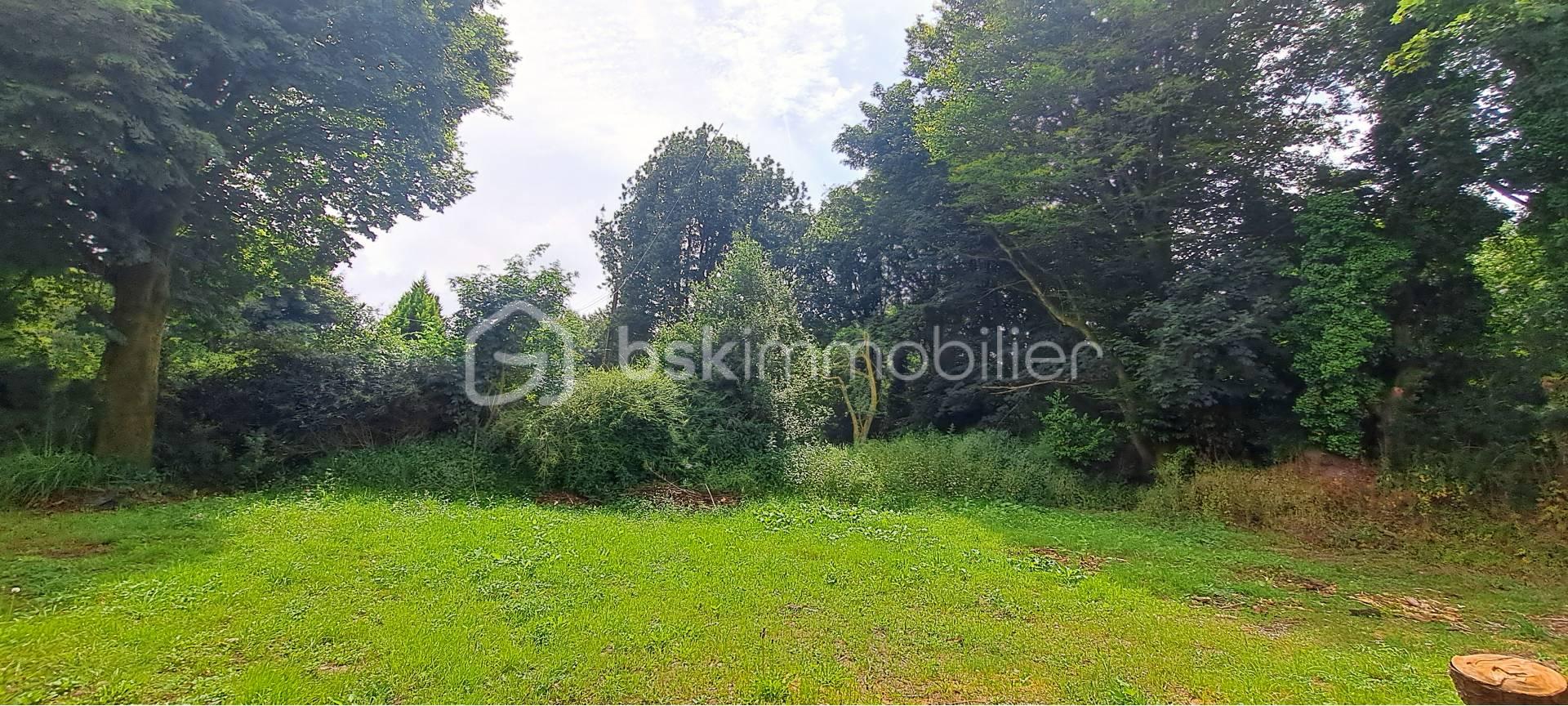 Maison en pierre de 135 m² - terrain 1.jpg