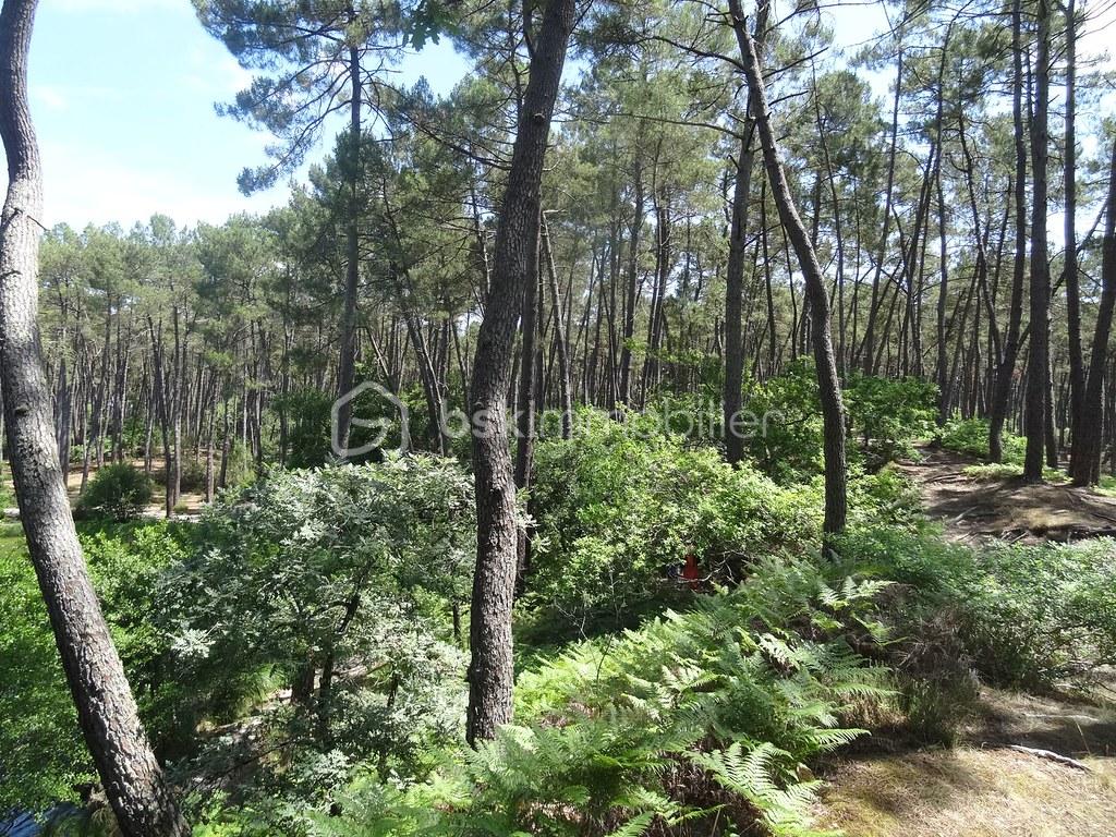 Lotissement de 12 034 m² - 19917661731_3454789029_b.jpg
