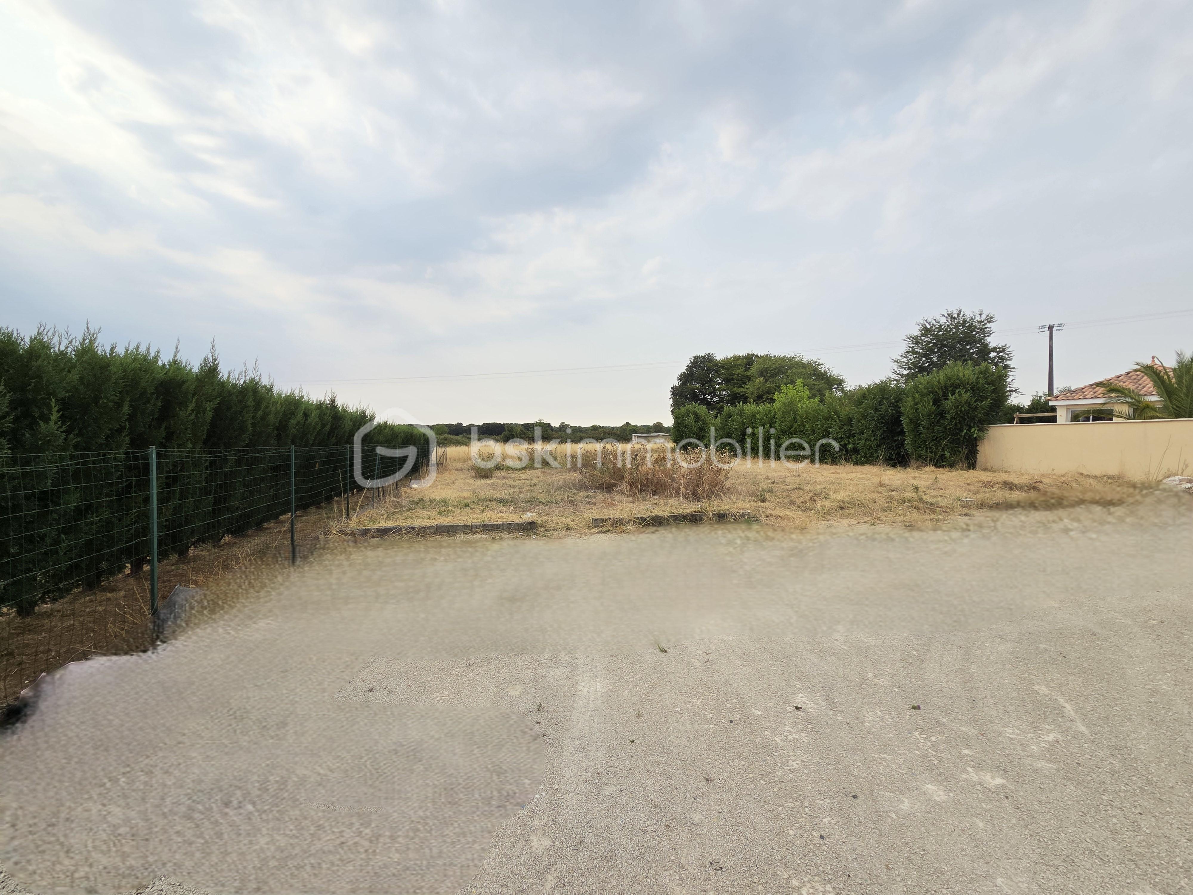 Maison traditionnelle de 70 m² - jardin 4.jpg