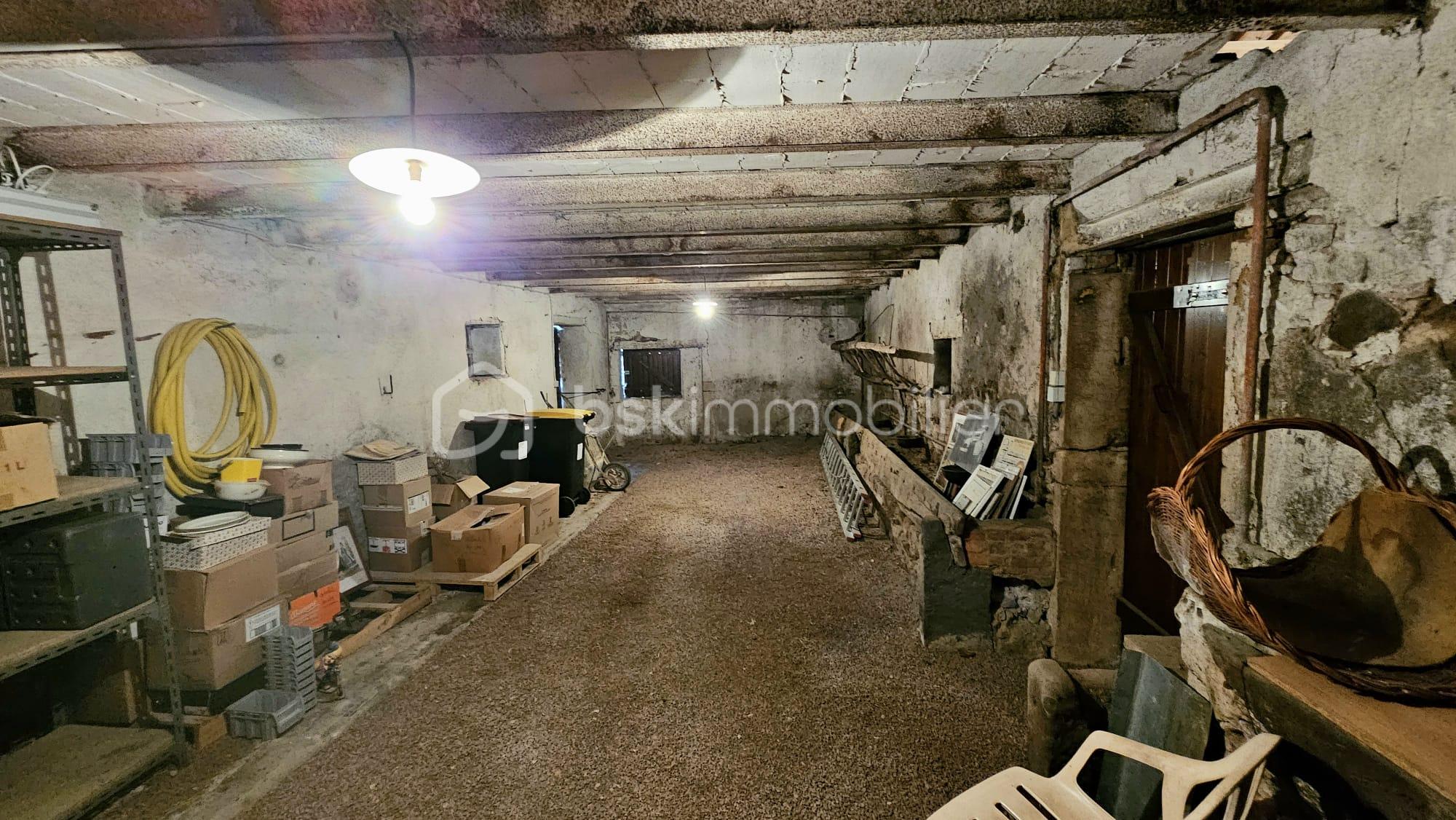 WhatsApp Image 2026-04-30 at 20.31.13(1).jpeg