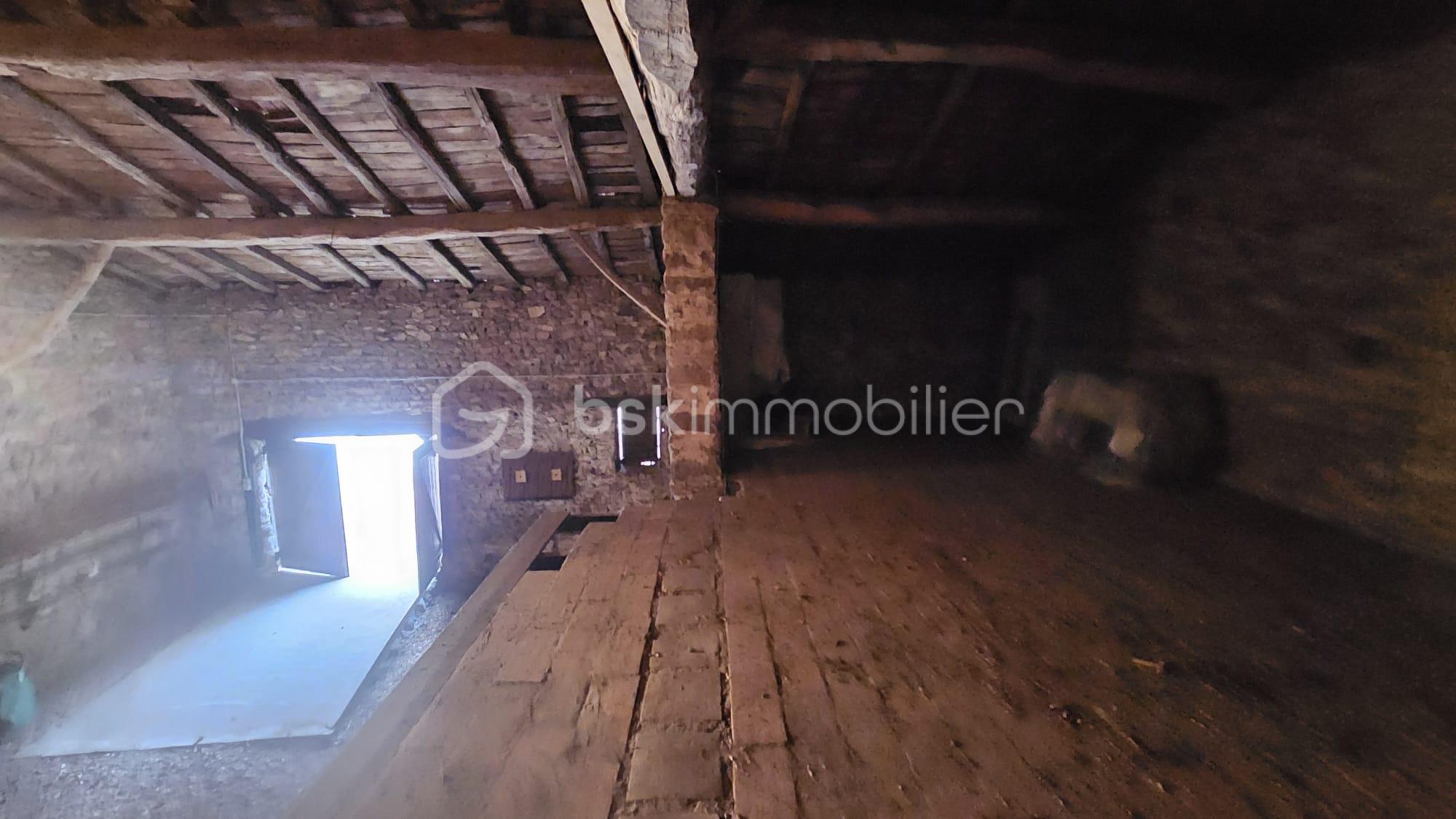 WhatsApp Image 2026-04-30 at 20.31.13(5).jpeg