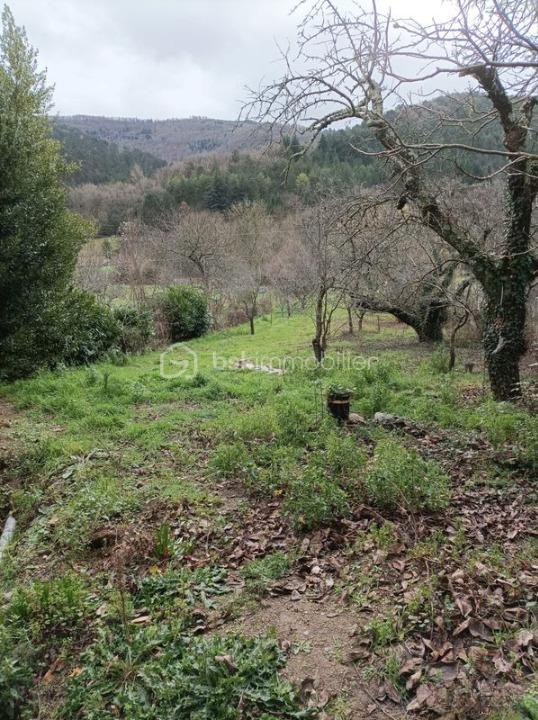 Maison en pierre de 100 m² - courniou-maison a renover-terrain constructible-terral fanny8.jpg