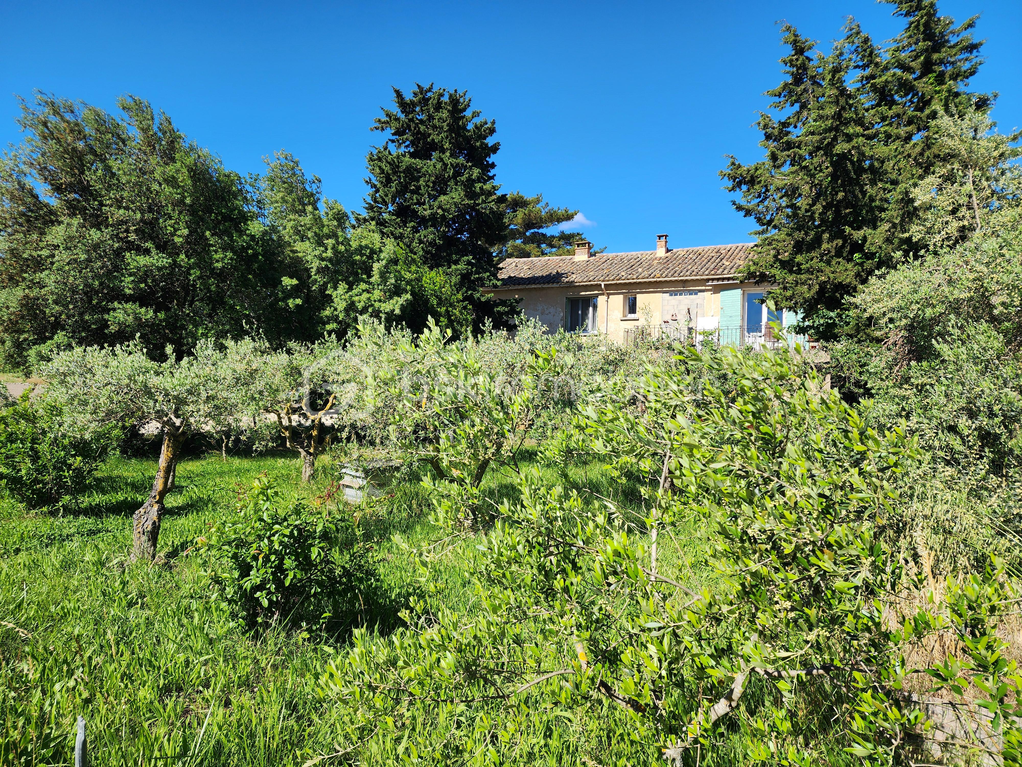maison.jpg