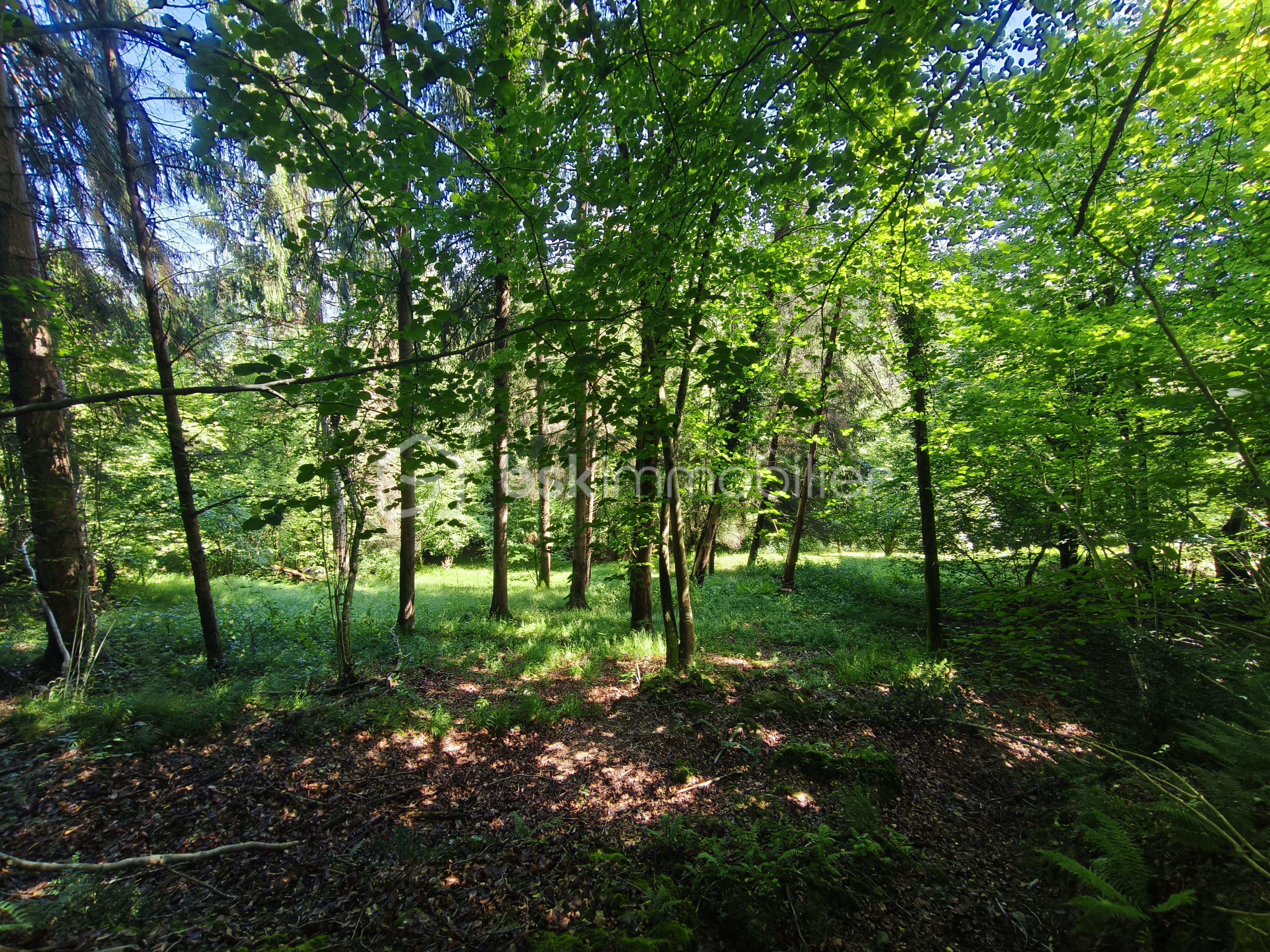 Grange de 60 m² - IMG_20250716_114414.jpg