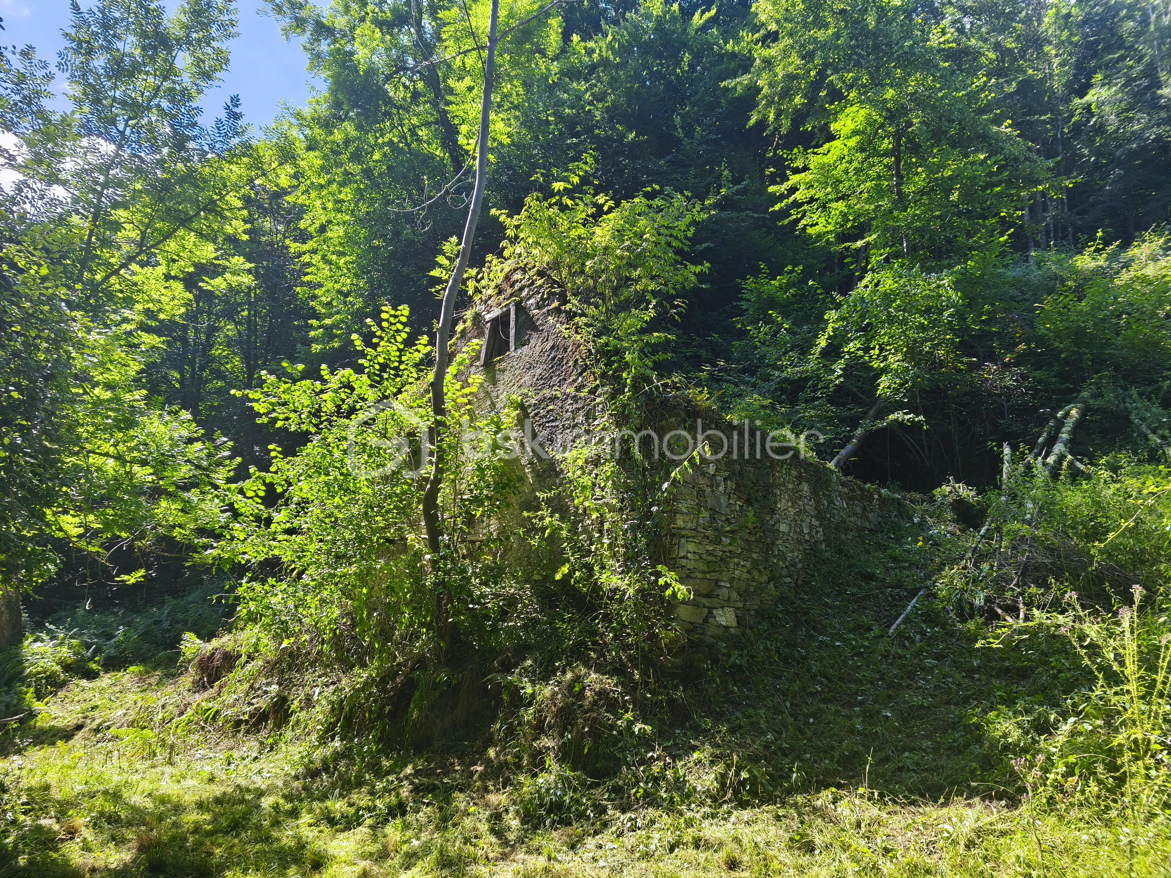 Grange de 60 m² - IMG_20250716_114107.jpg