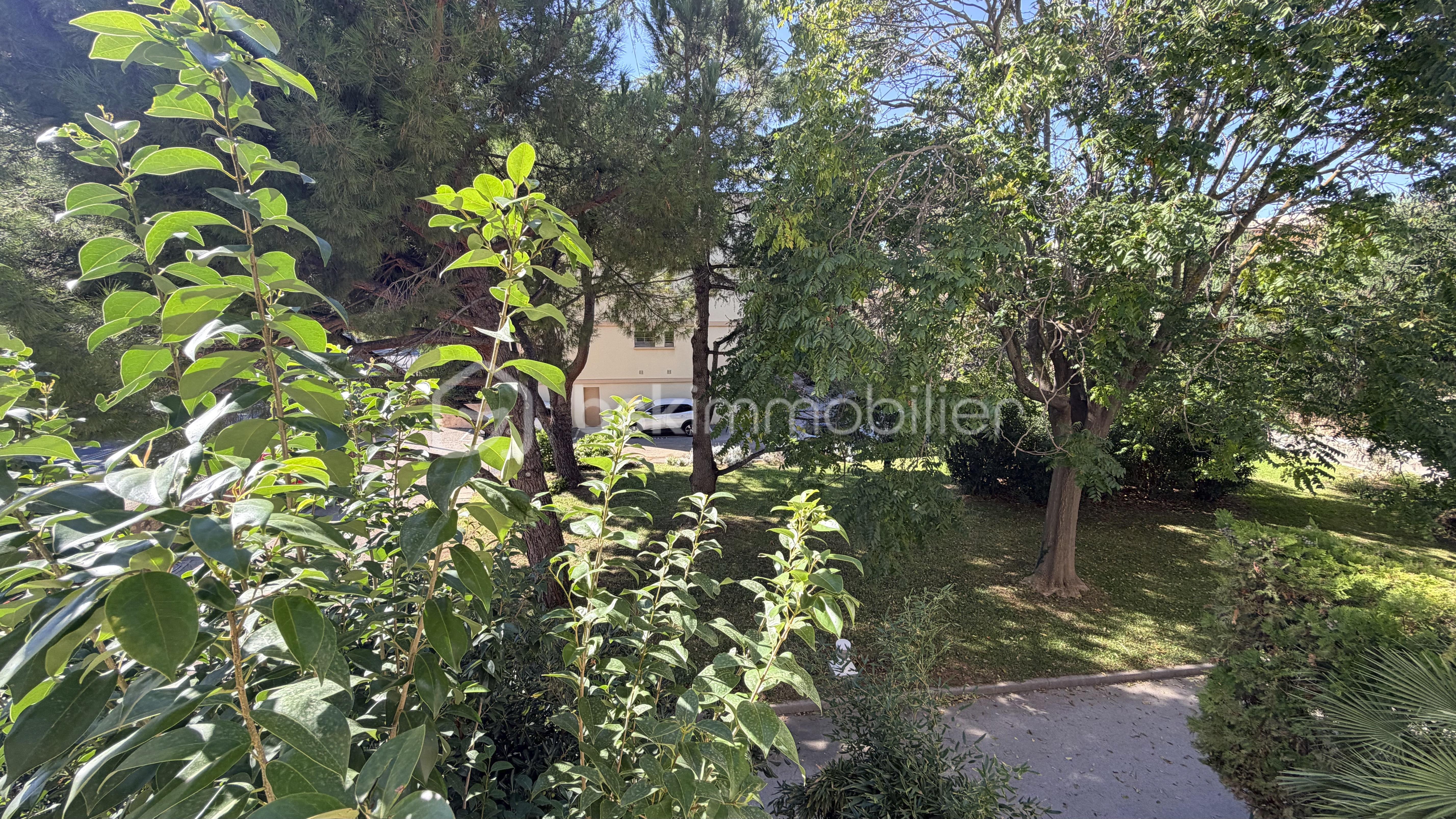 VU JARDIN 1 jpeg.jpg