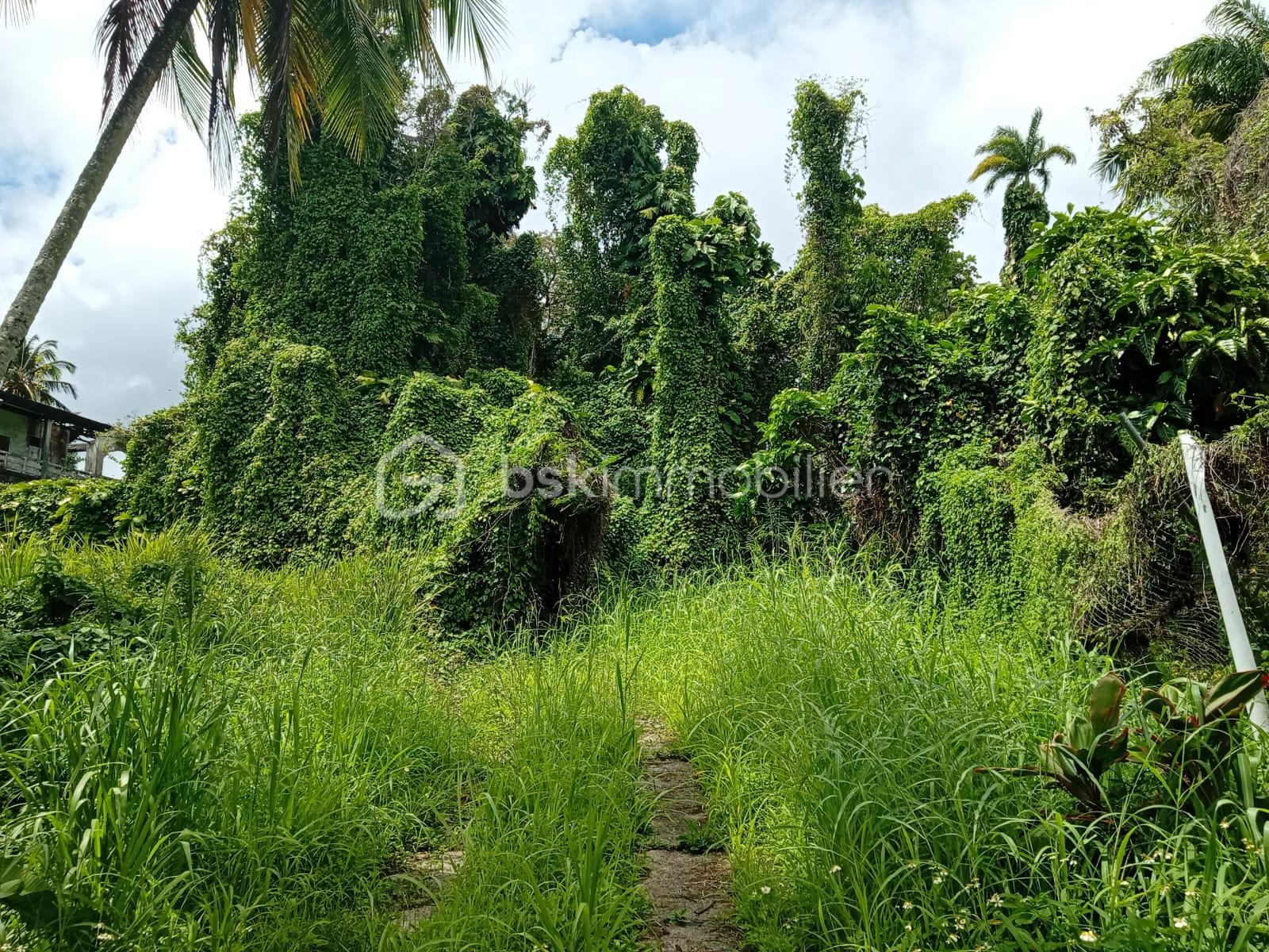 WhatsApp Image 2026-04-13 at 15.18.44.jpeg