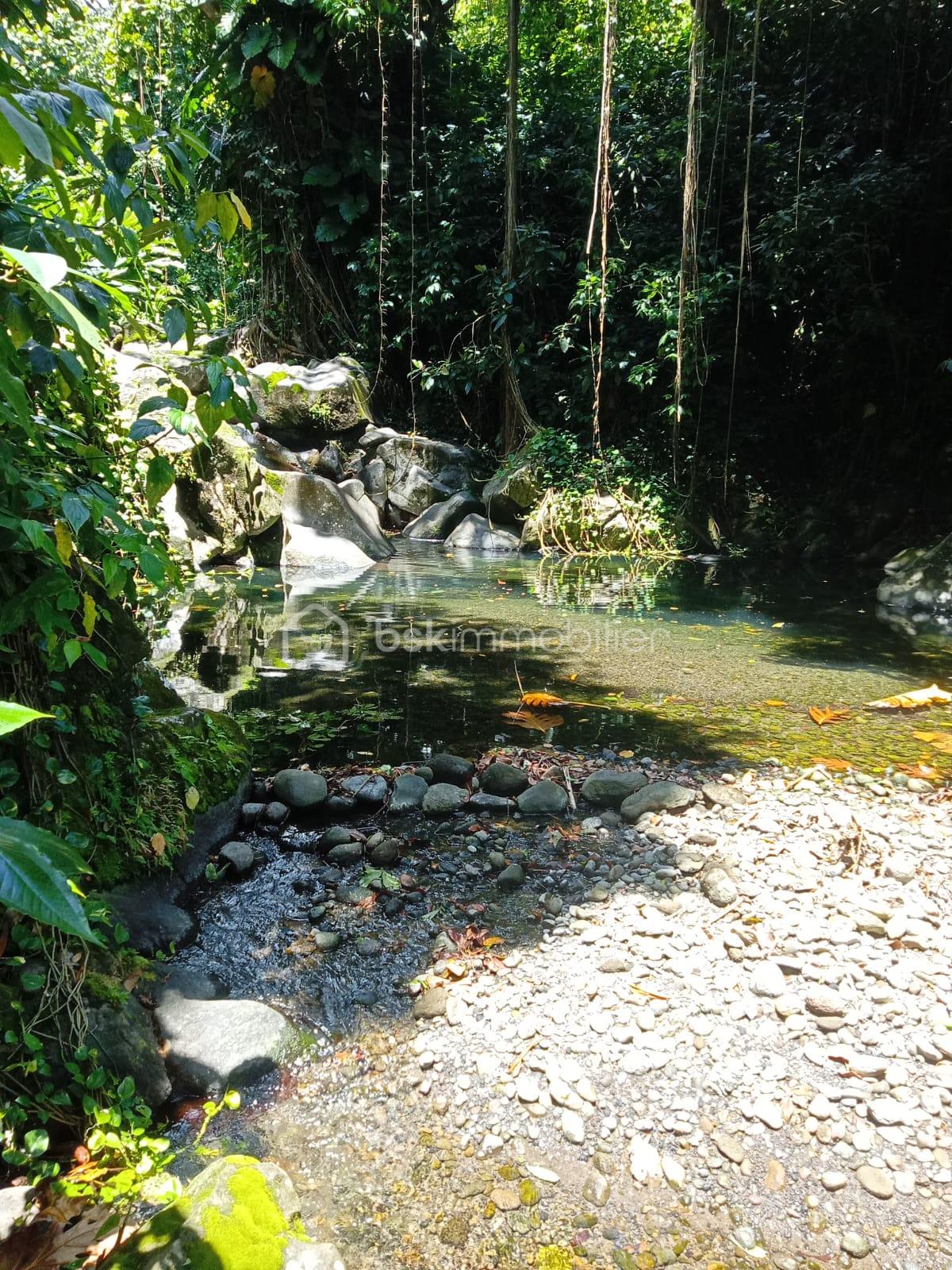 WhatsApp Image 2026-04-13 at 15.21.17.jpeg