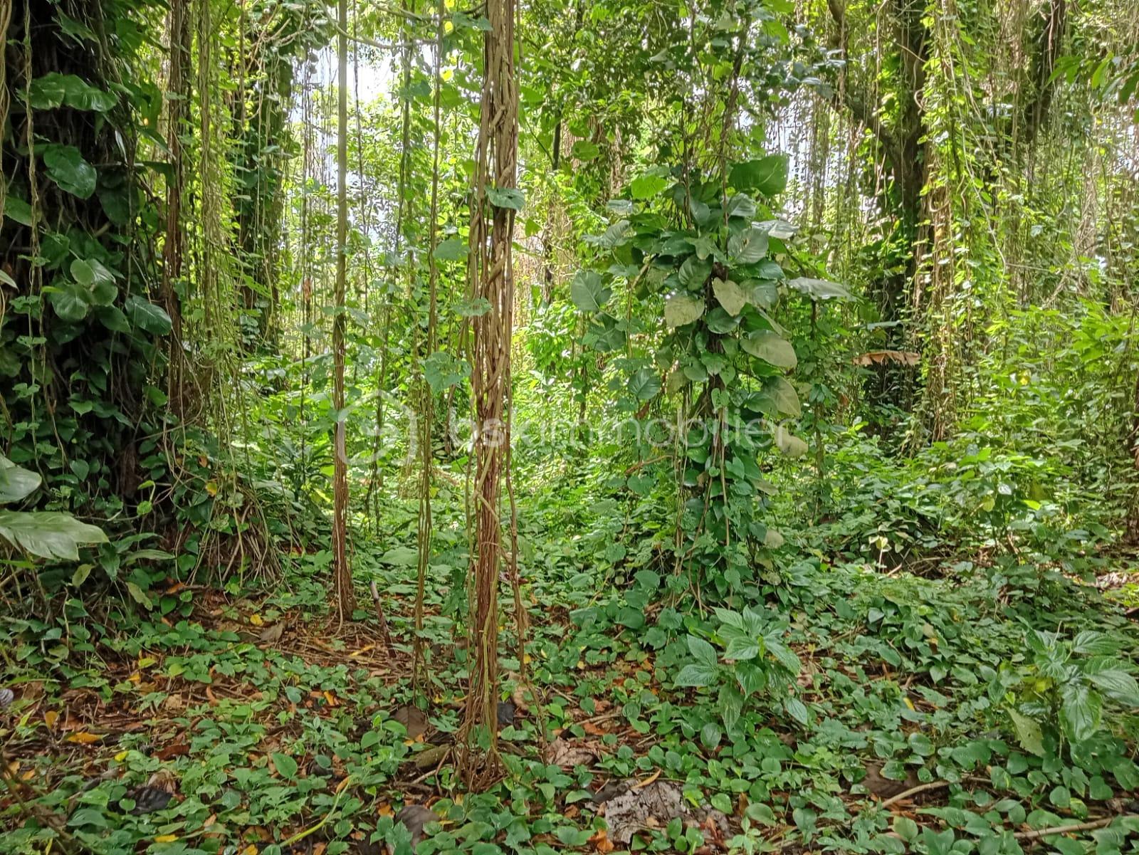 WhatsApp Image 2026-04-13 at 15.20.47 (2).jpeg