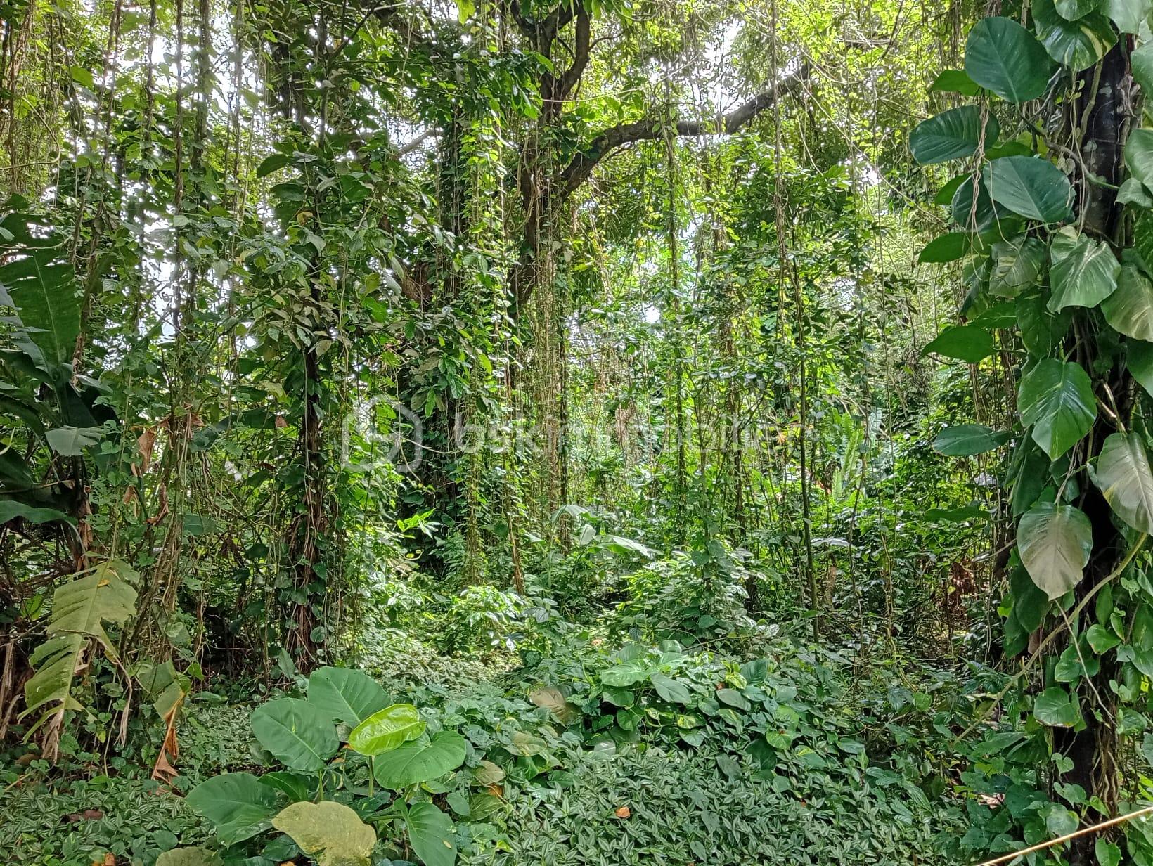 WhatsApp Image 2026-04-13 at 15.18.17.jpeg