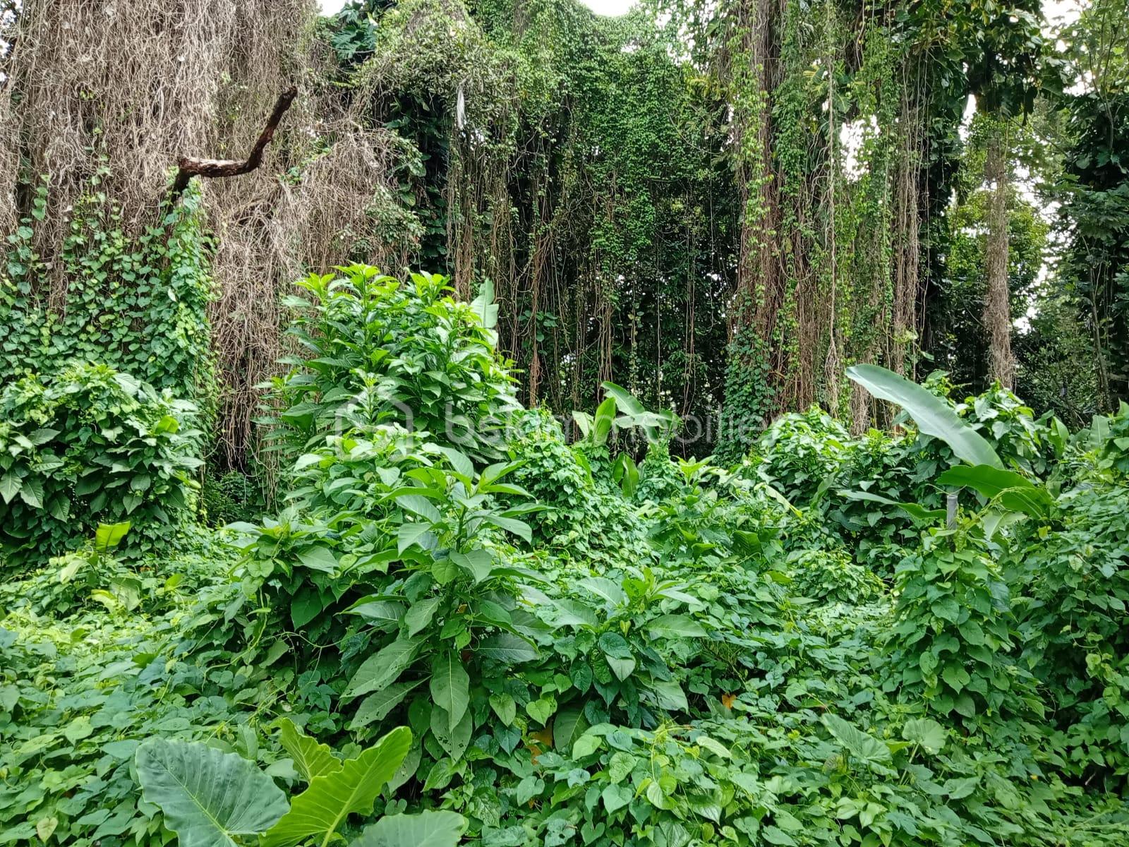 WhatsApp Image 2026-04-13 at 15.19.10.jpeg